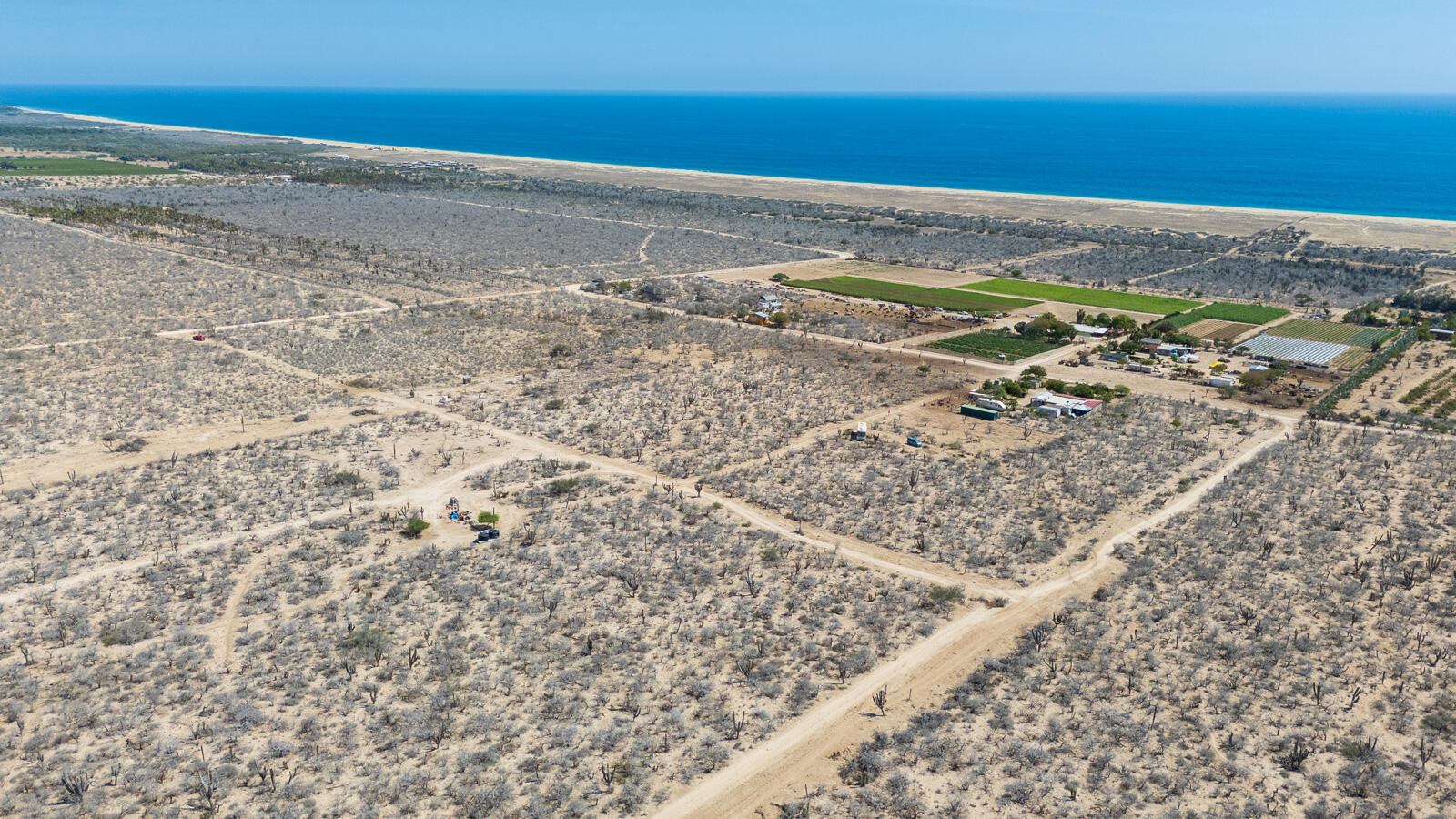 MLS #25-3619 image #7