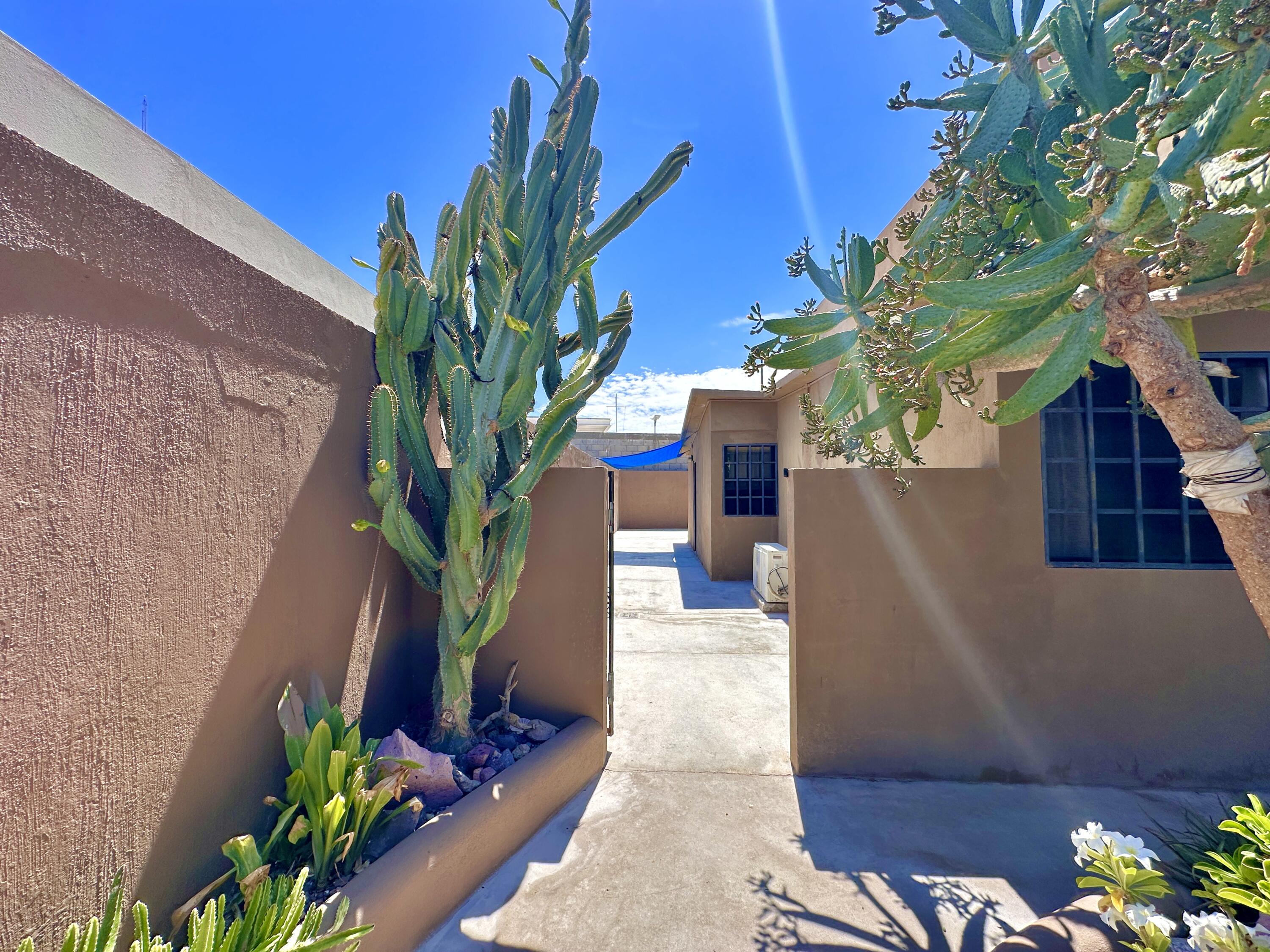 MLS #25-3781 image #49