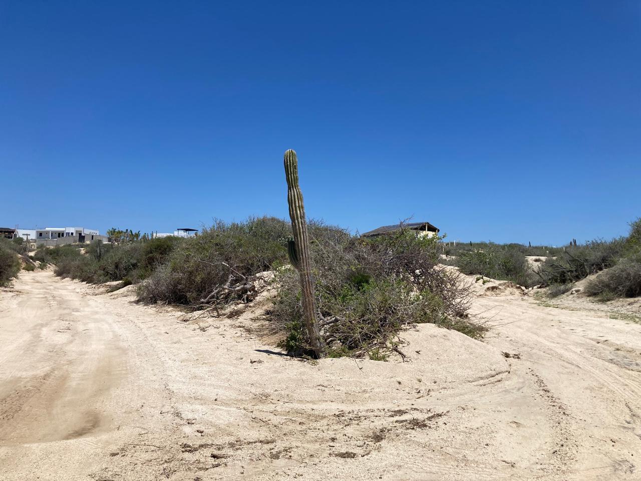 MLS #25-3802 img 1