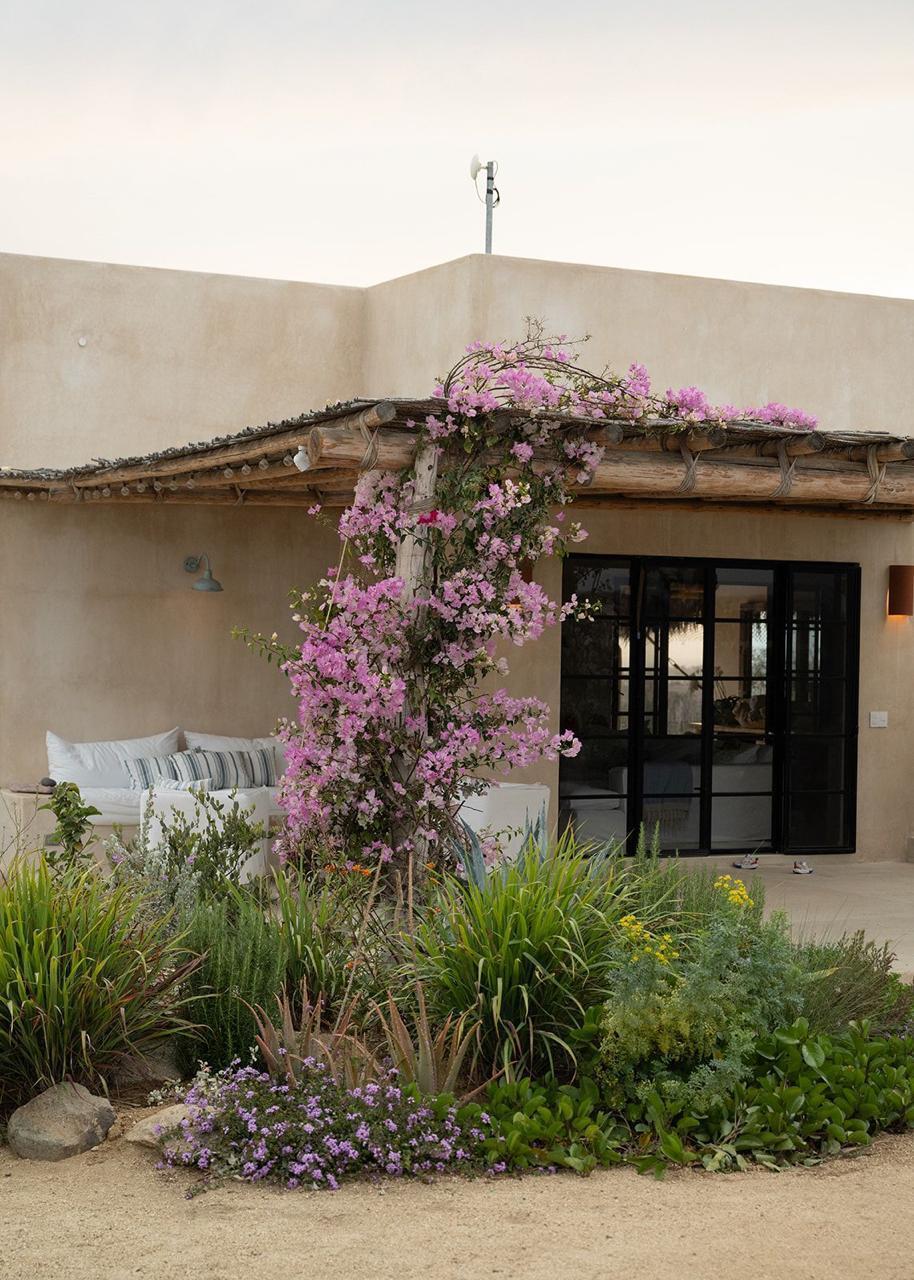 MLS #25-3809 image #11