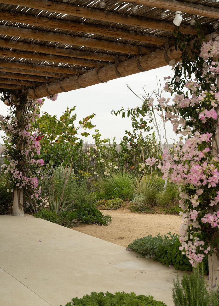 MLS #25-3809 image #12