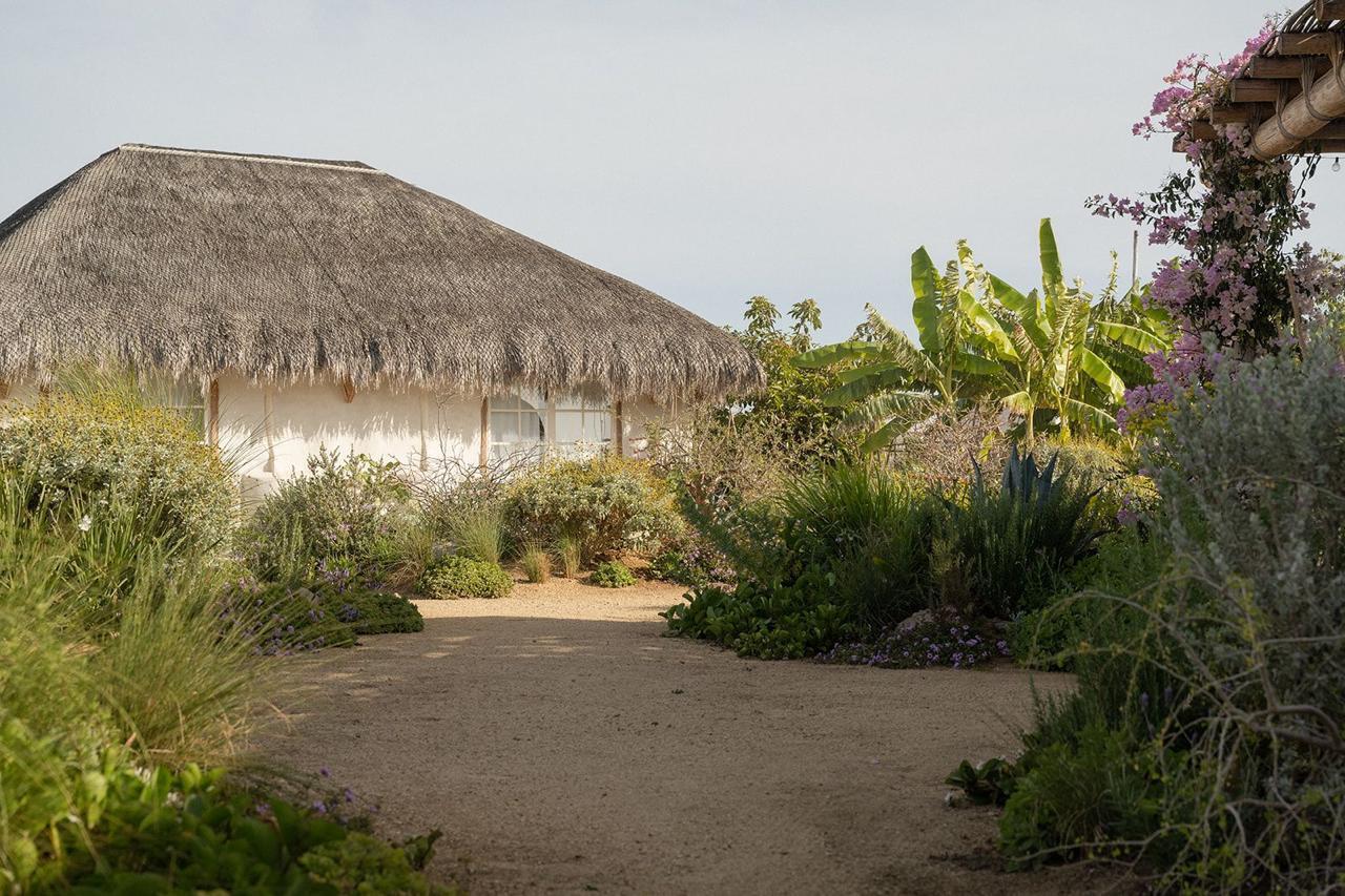 MLS #25-3809 image #25