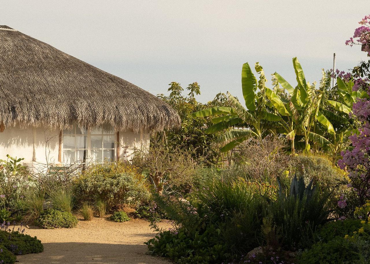 MLS #25-3809 image #26