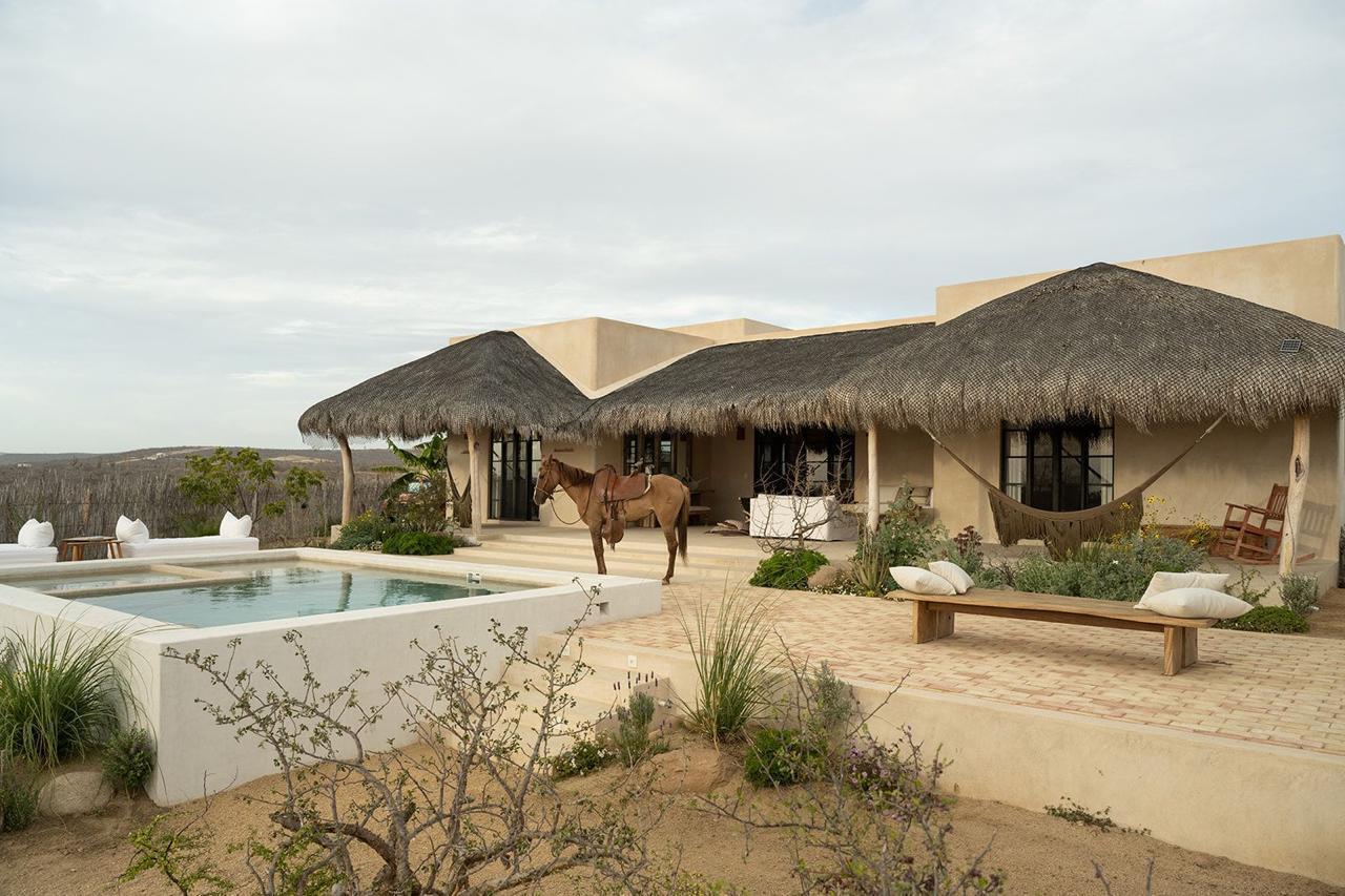 MLS #25-3809 image #35