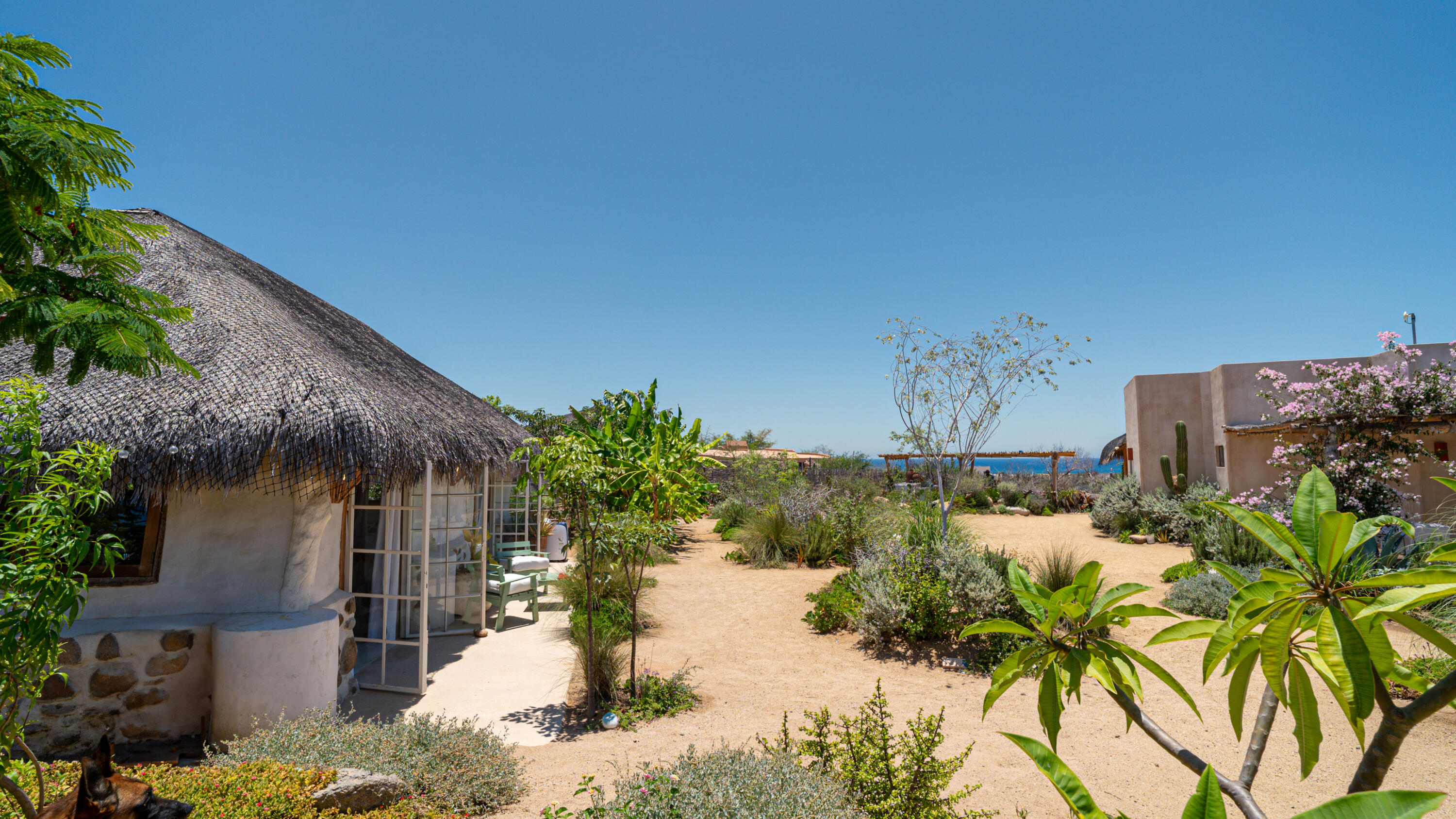 MLS #25-3809 image #41