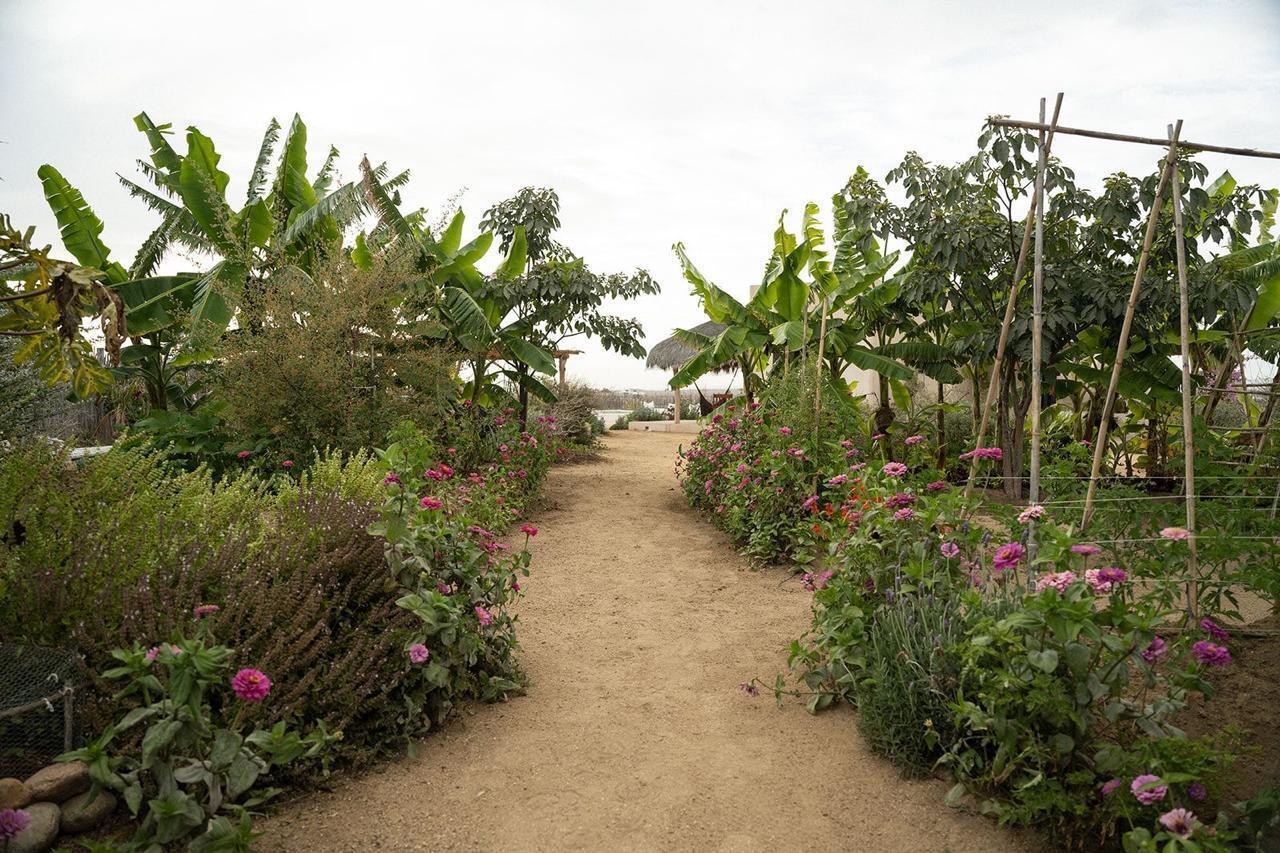 MLS #25-3809 image #44