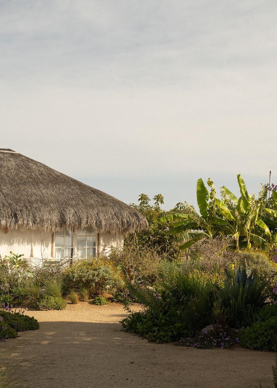 MLS #25-3809 image #9