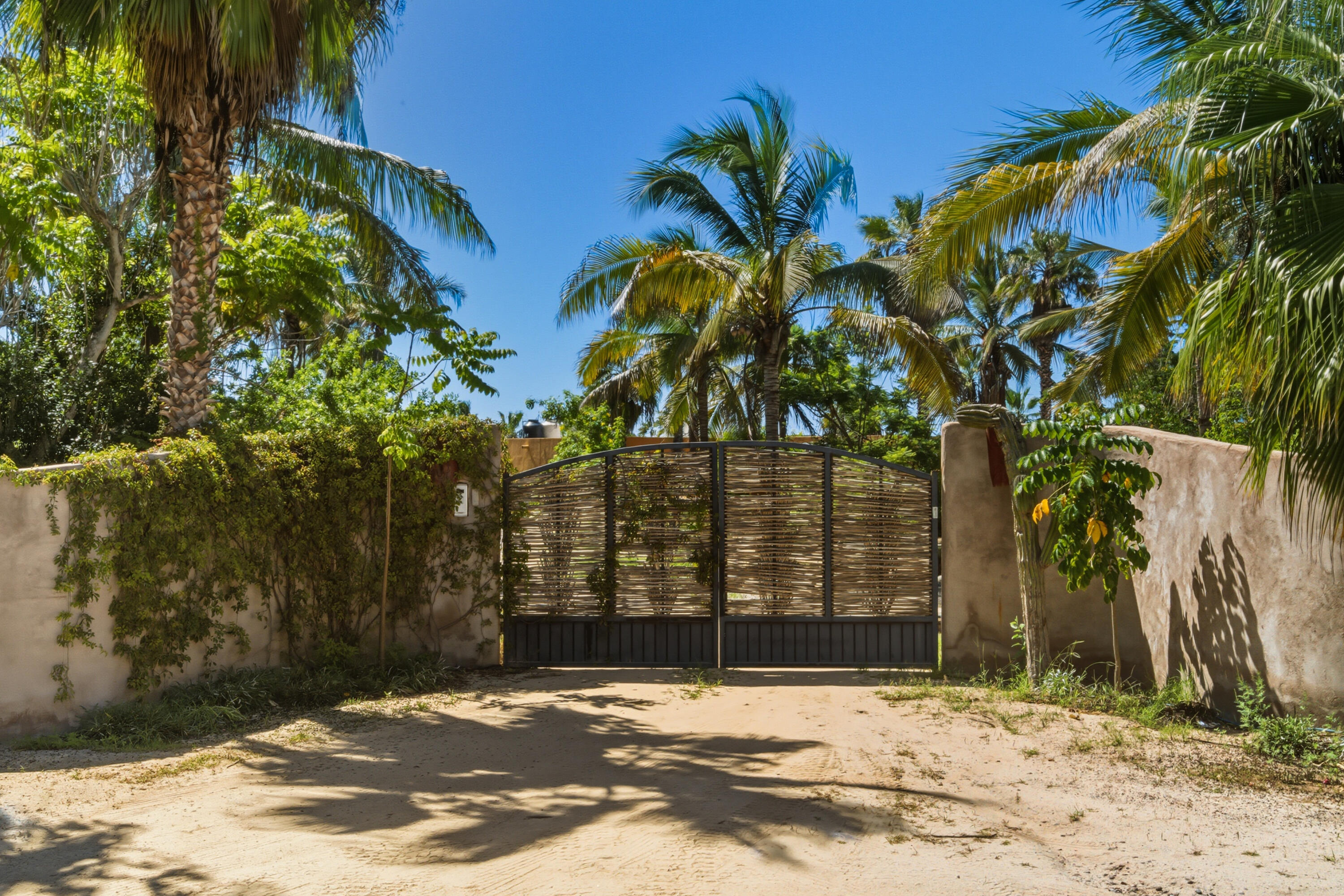 MLS #25-3857 image #6