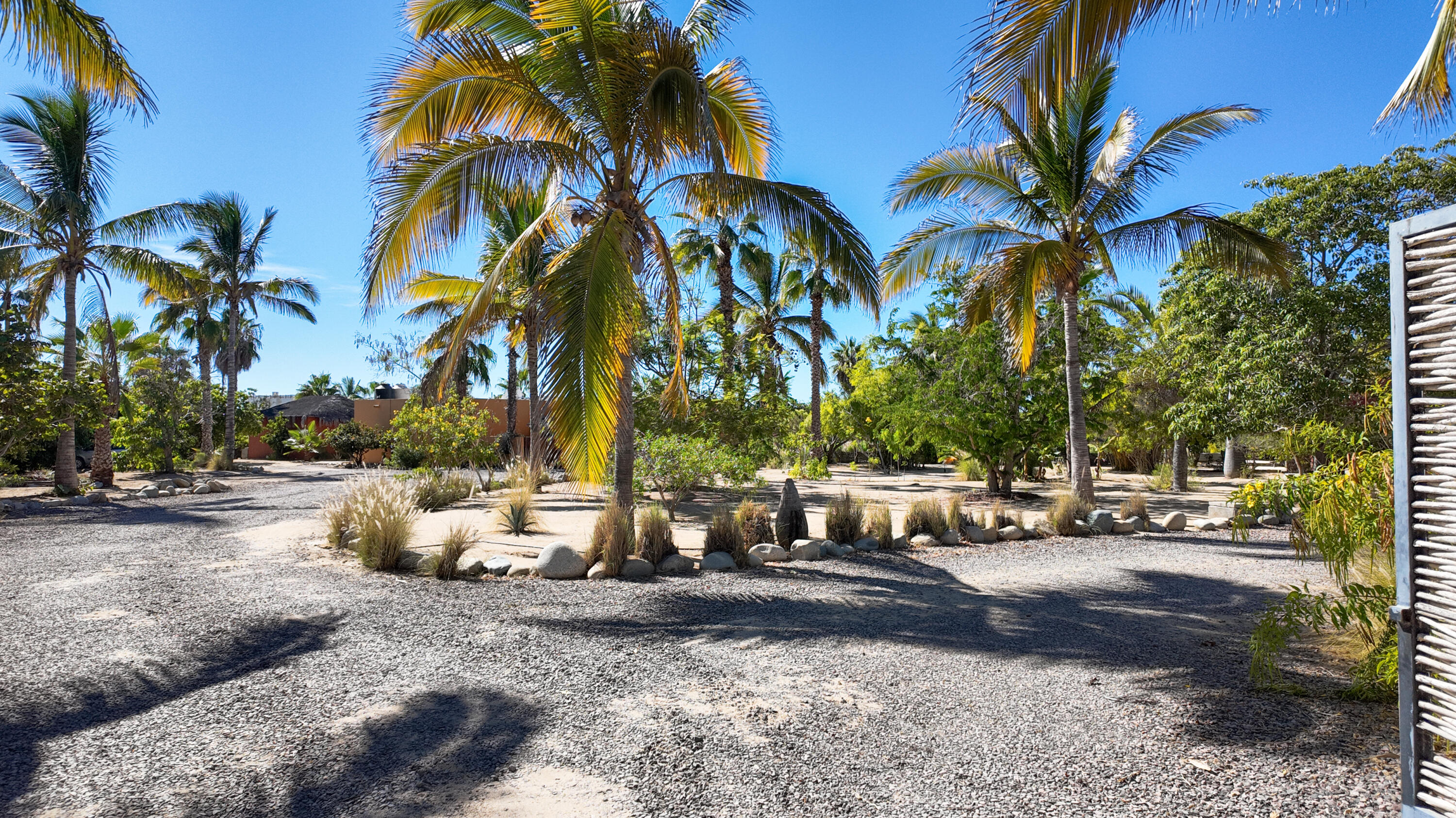 MLS #25-3857 image #7