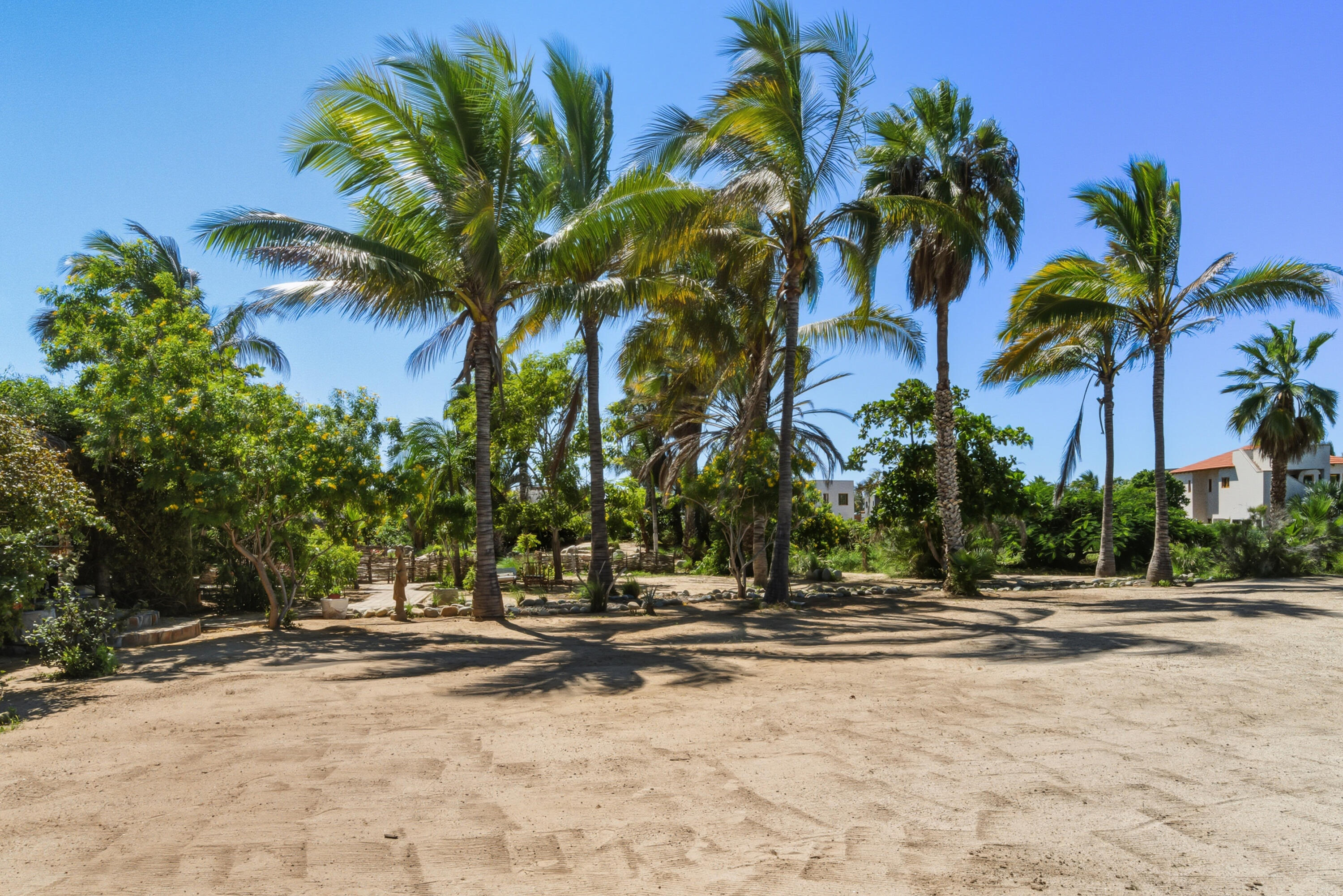 MLS #25-3857 image #8