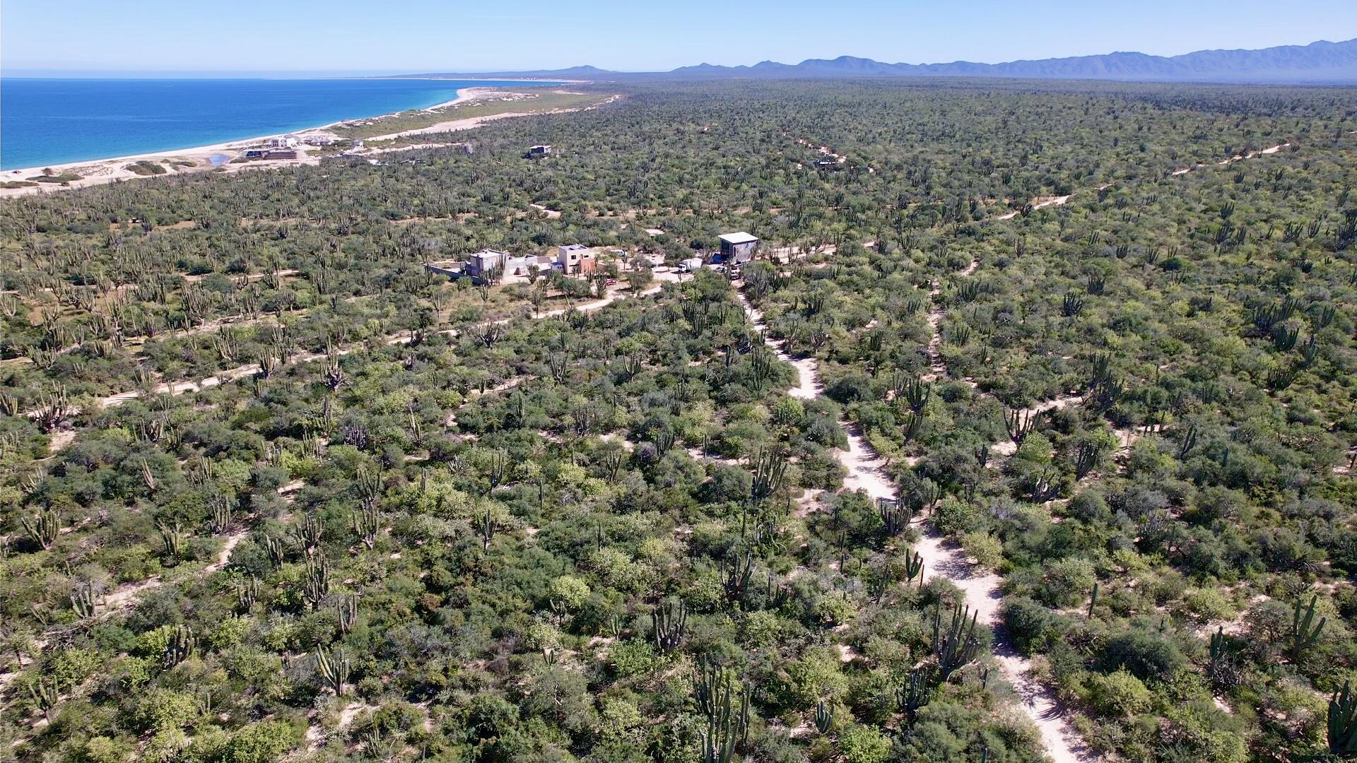 MLS #25-3874 image #2