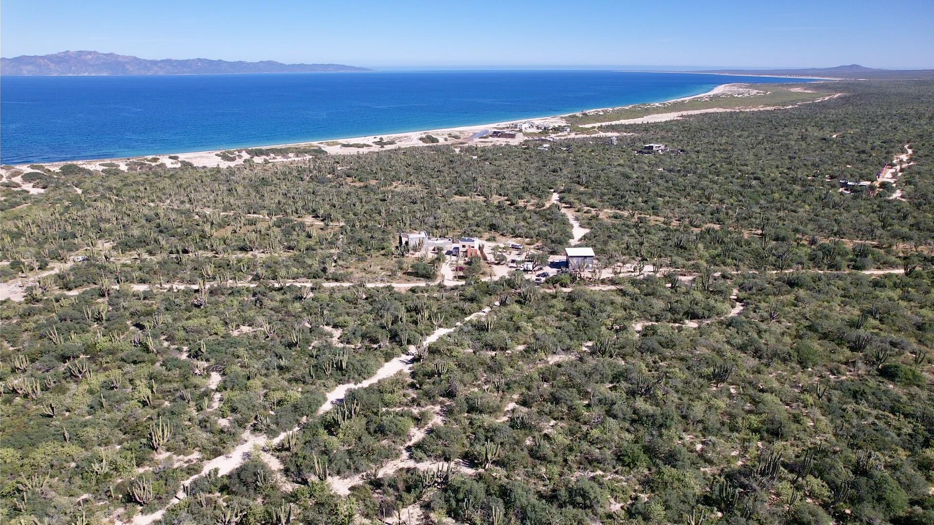 MLS #25-3874 image #3