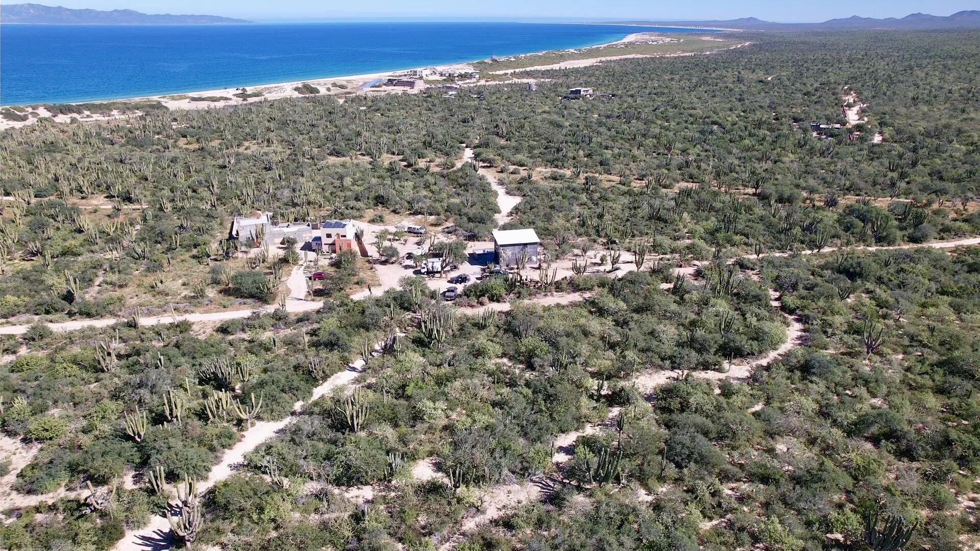 MLS #25-3874 image #4