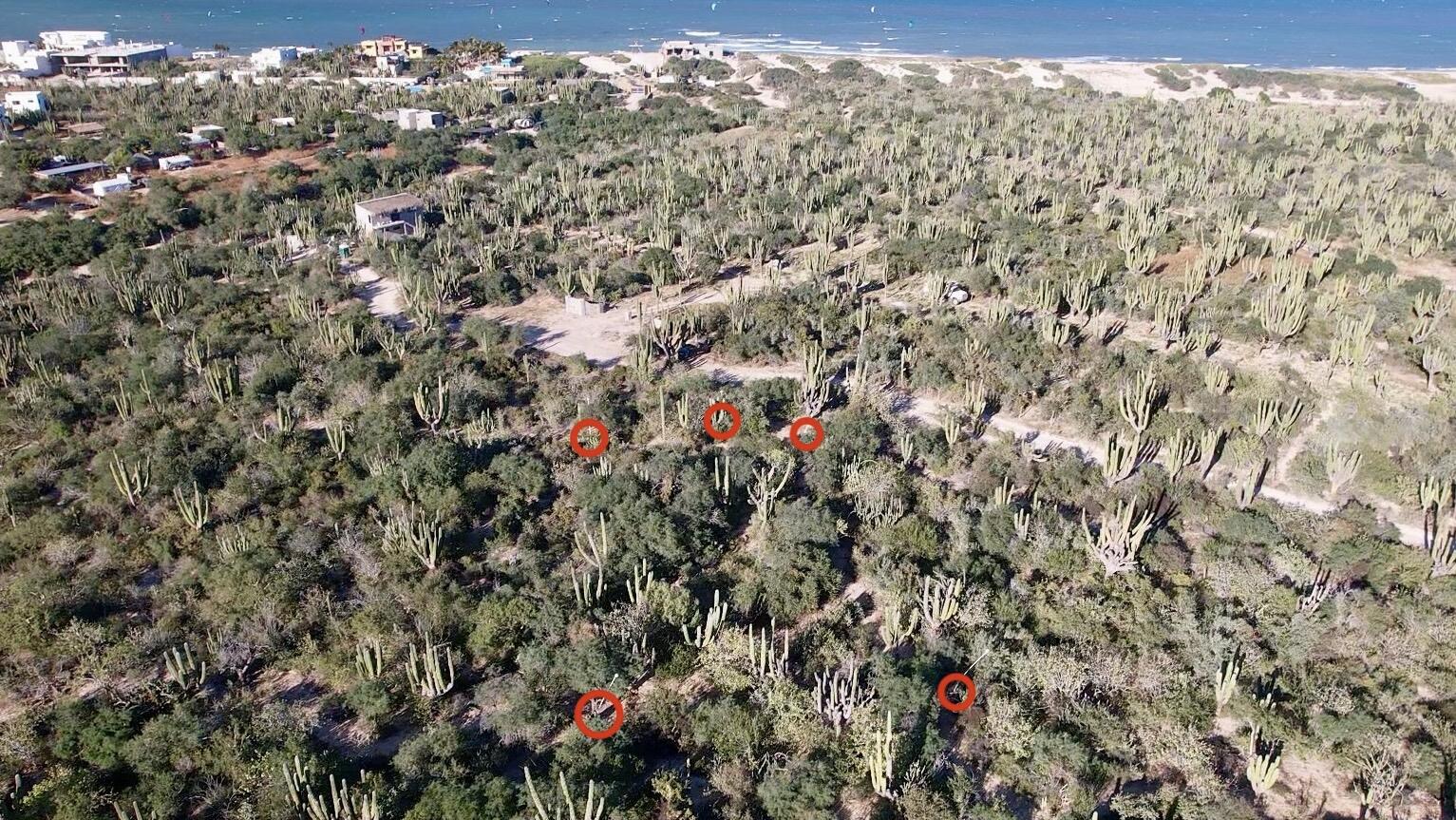 MLS #25-3874 image #5