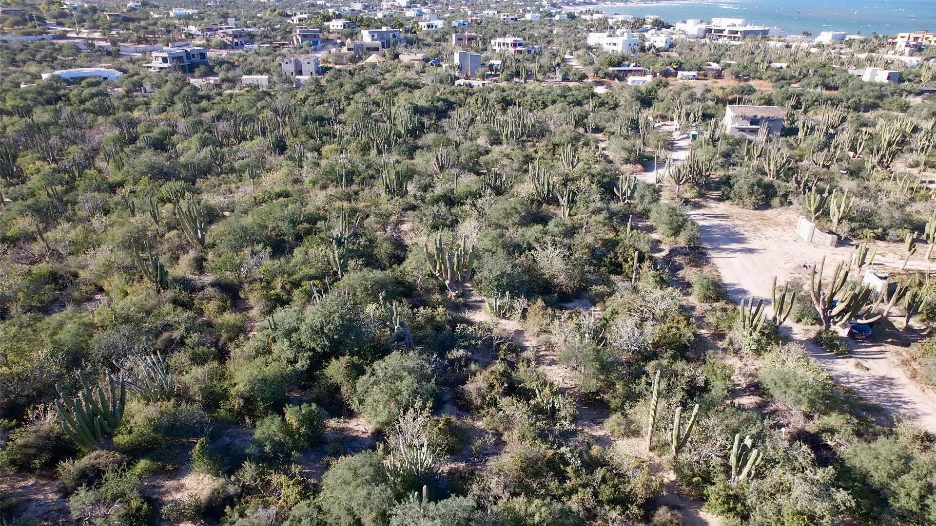 MLS #25-3874 image #6