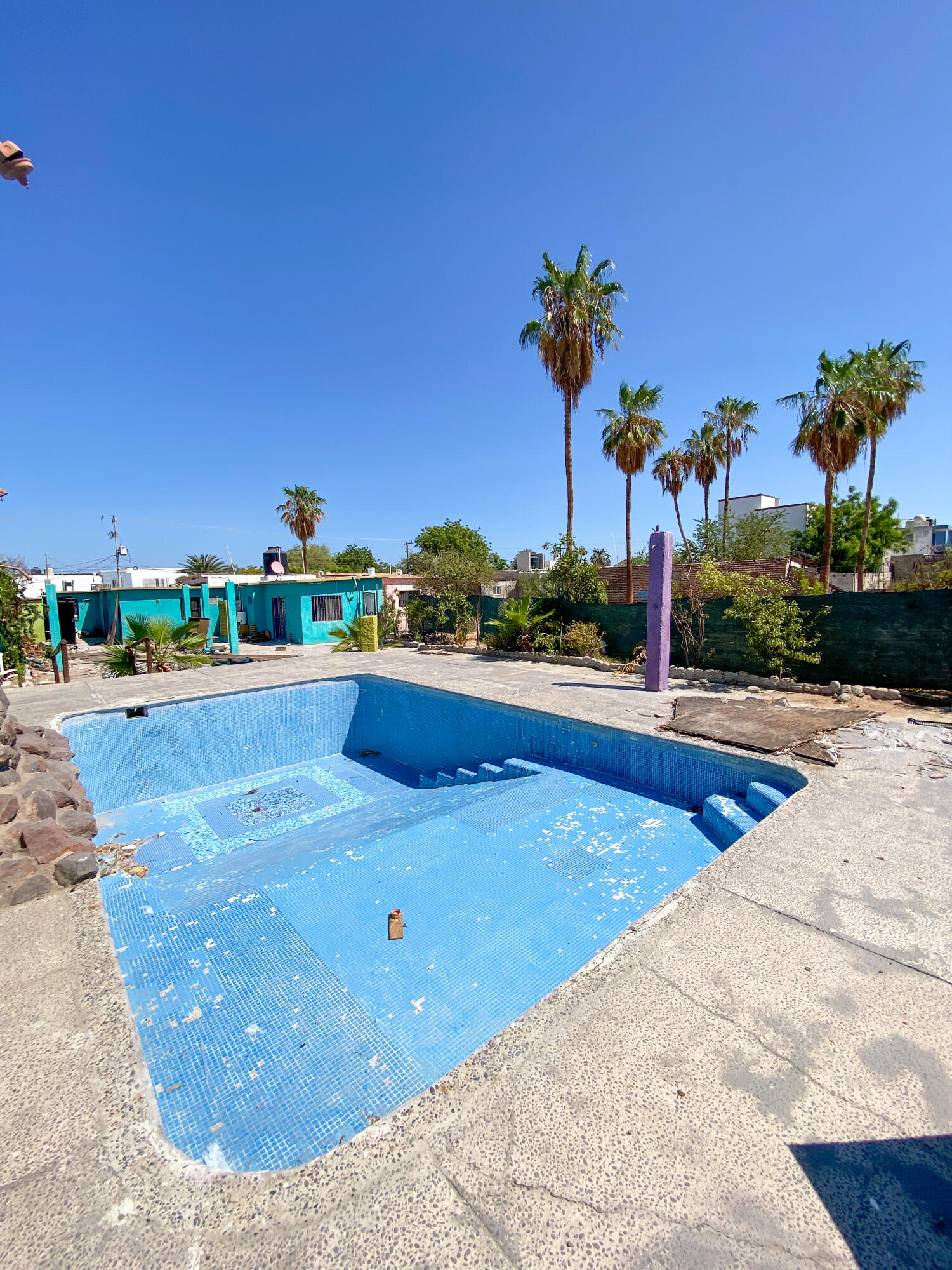 MLS #25-3894 image #13