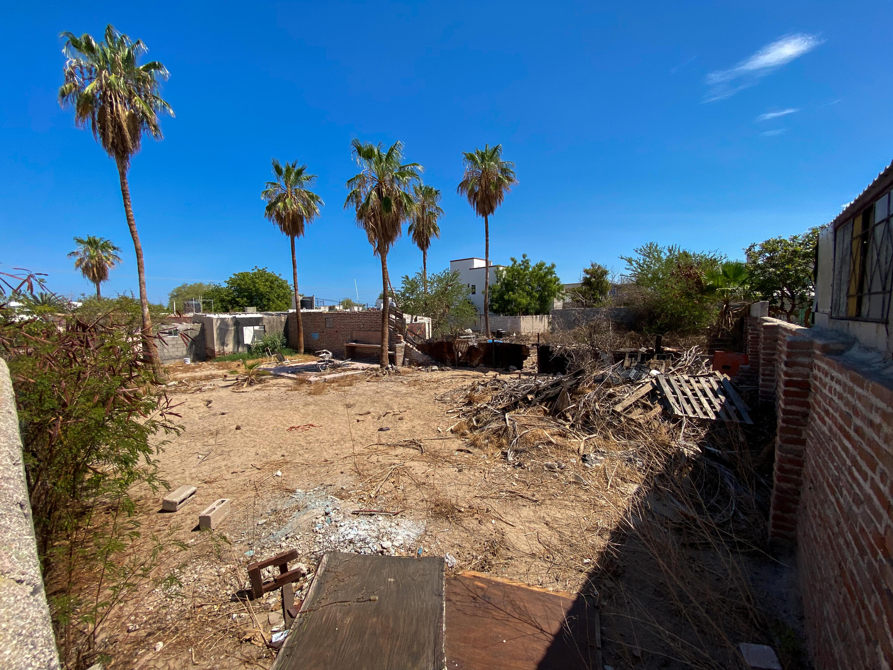 MLS #25-3894 image #15