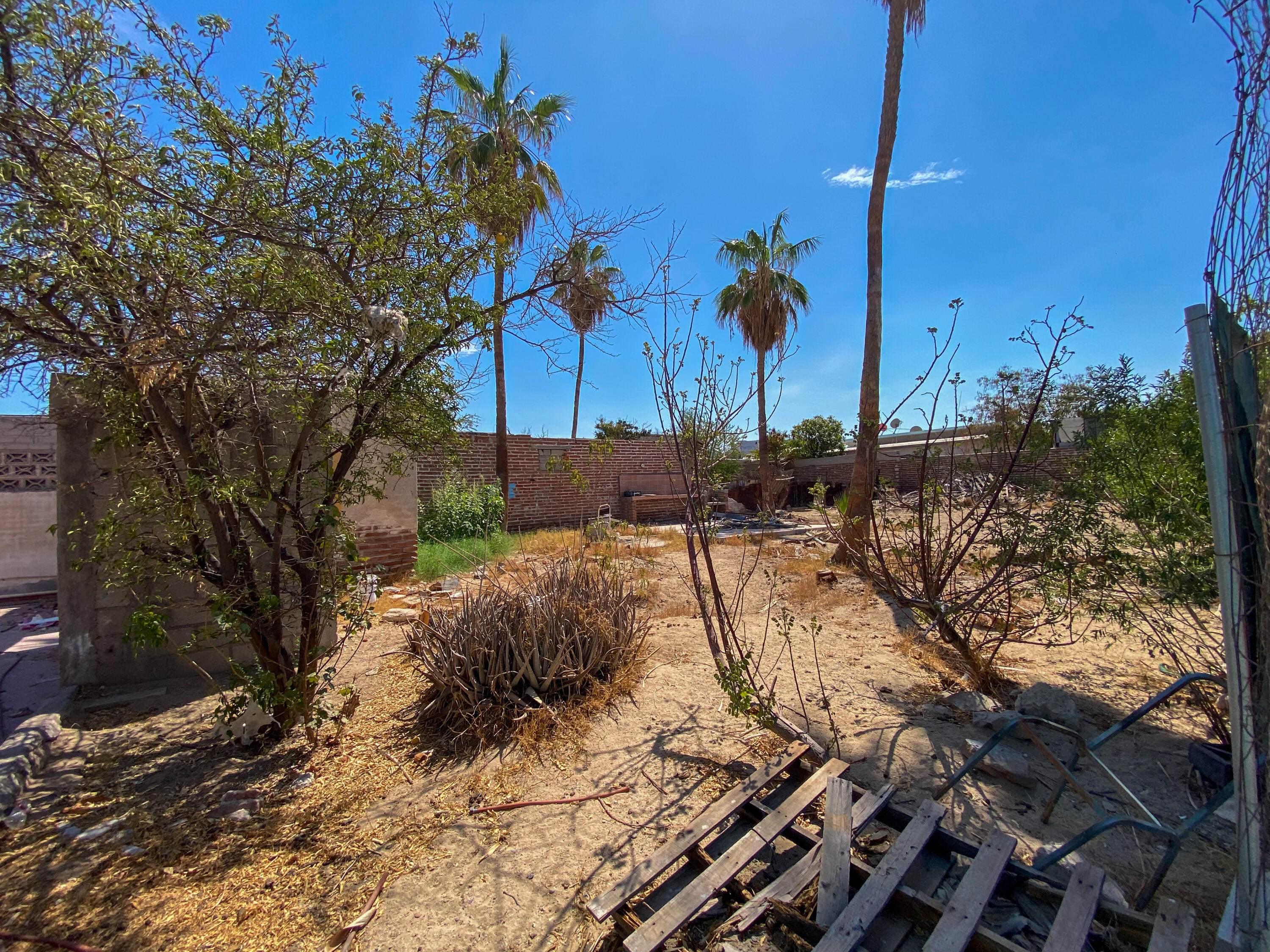 MLS #25-3894 image #17