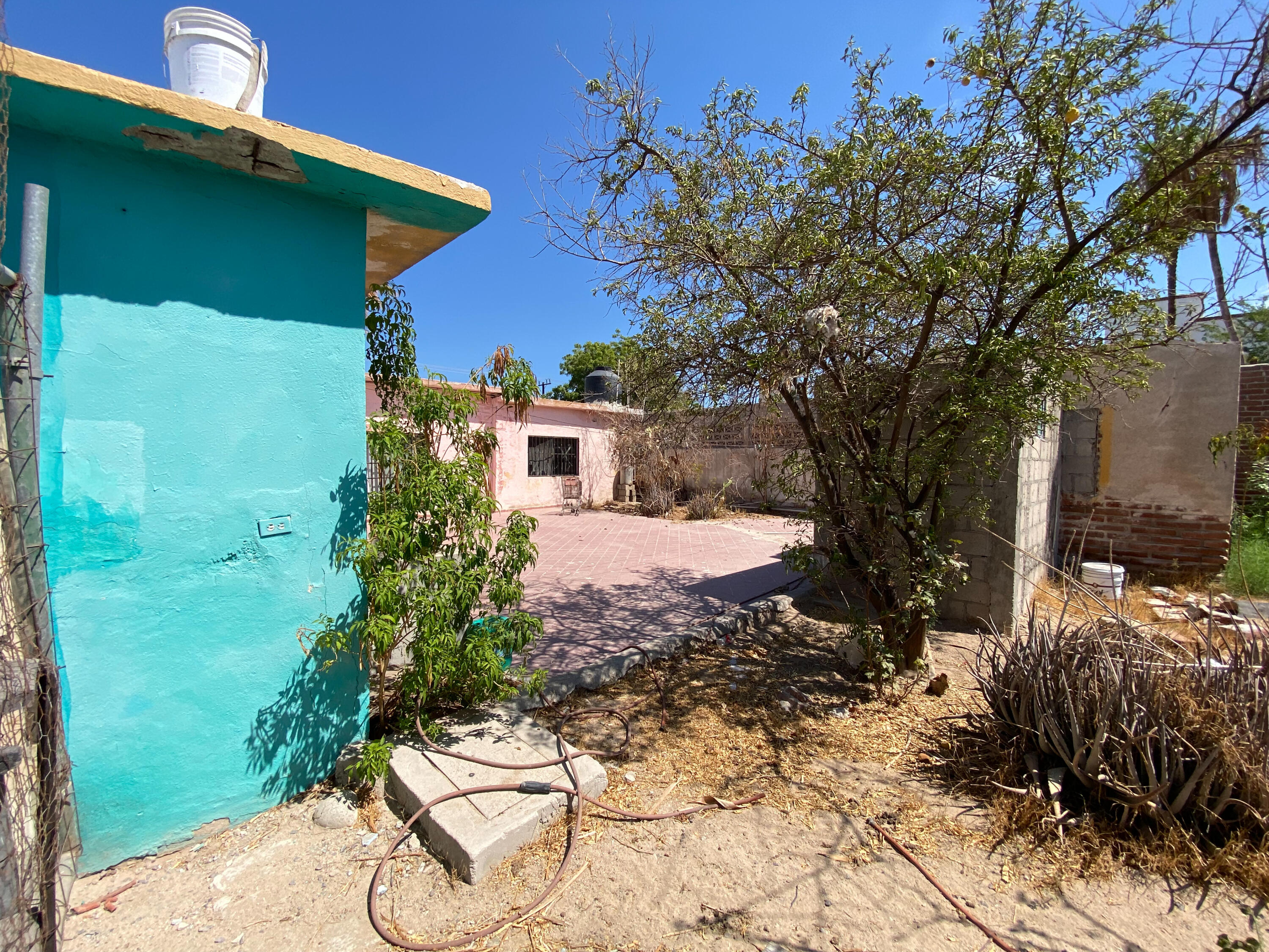 MLS #25-3894 image #18