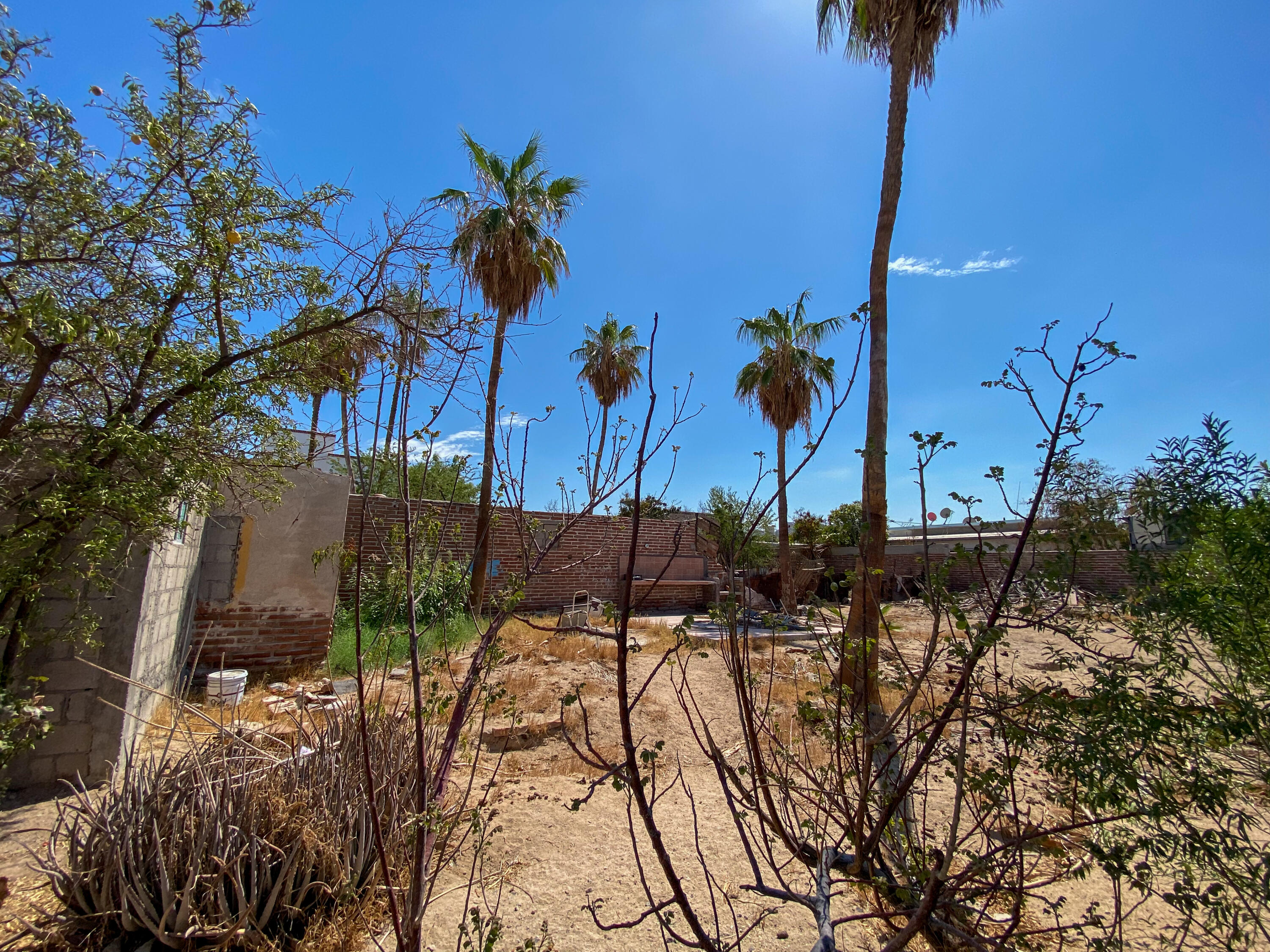 MLS #25-3894 image #19