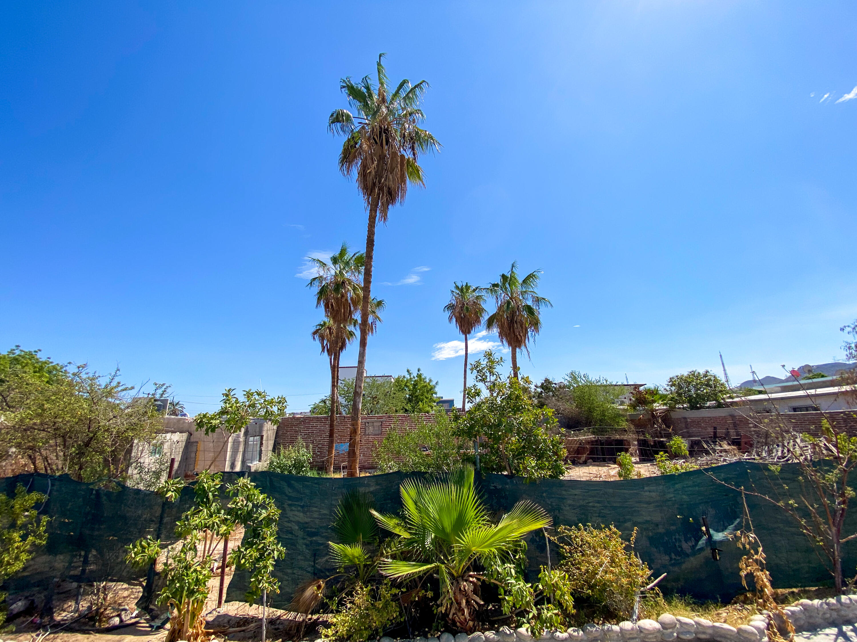 MLS #25-3894 image #20