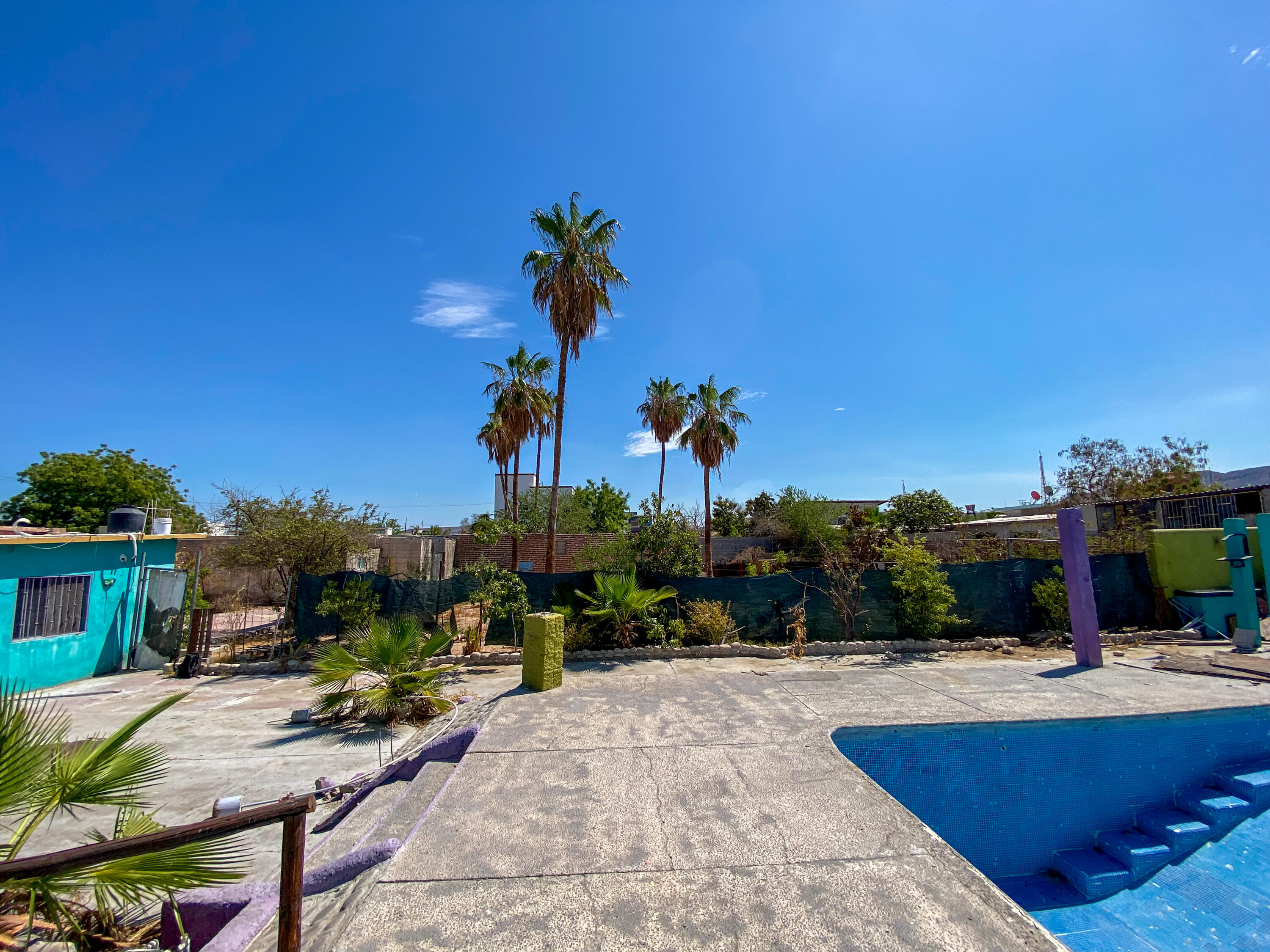 MLS #25-3894 image #21