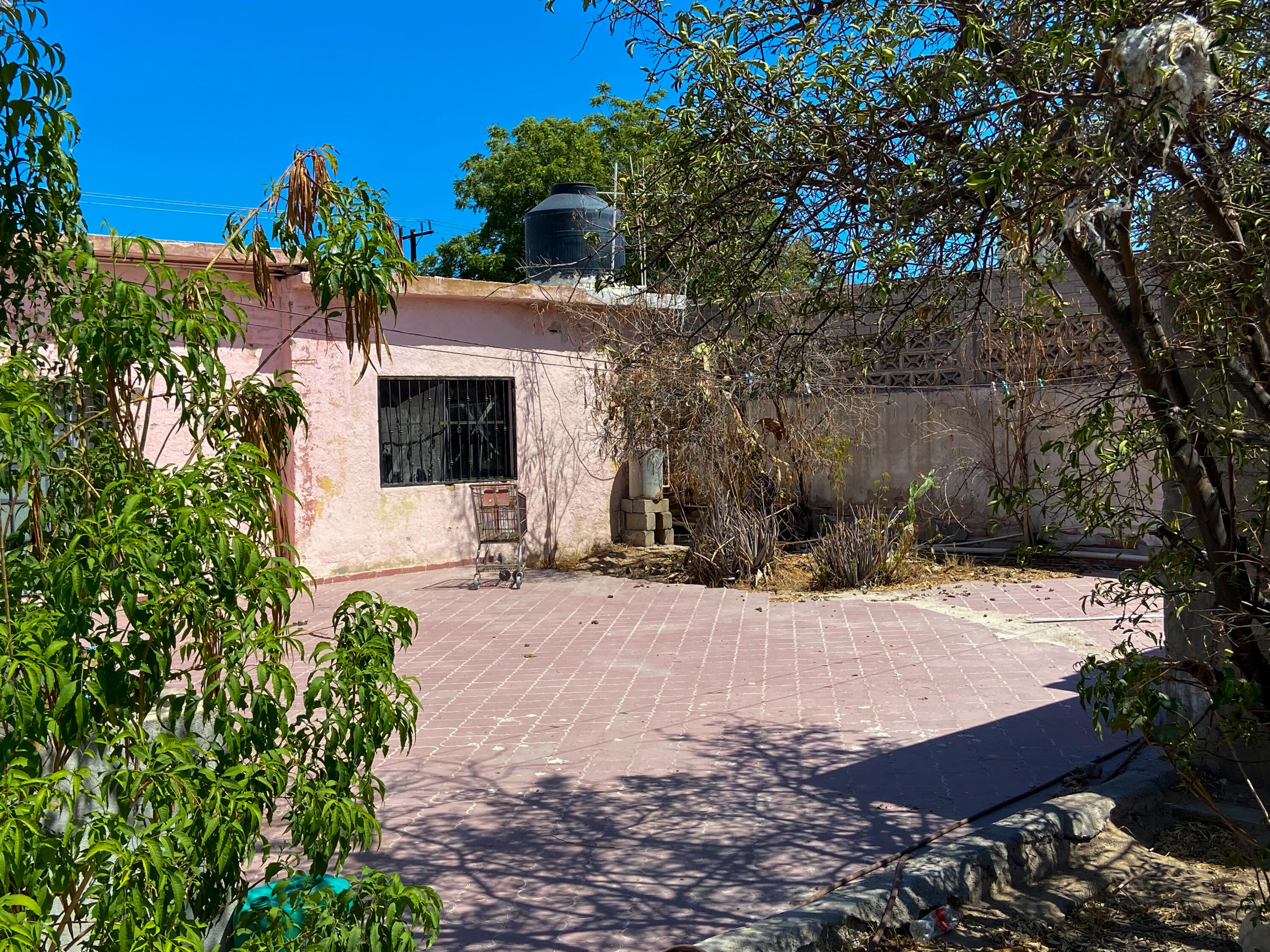 MLS #25-3894 image #30