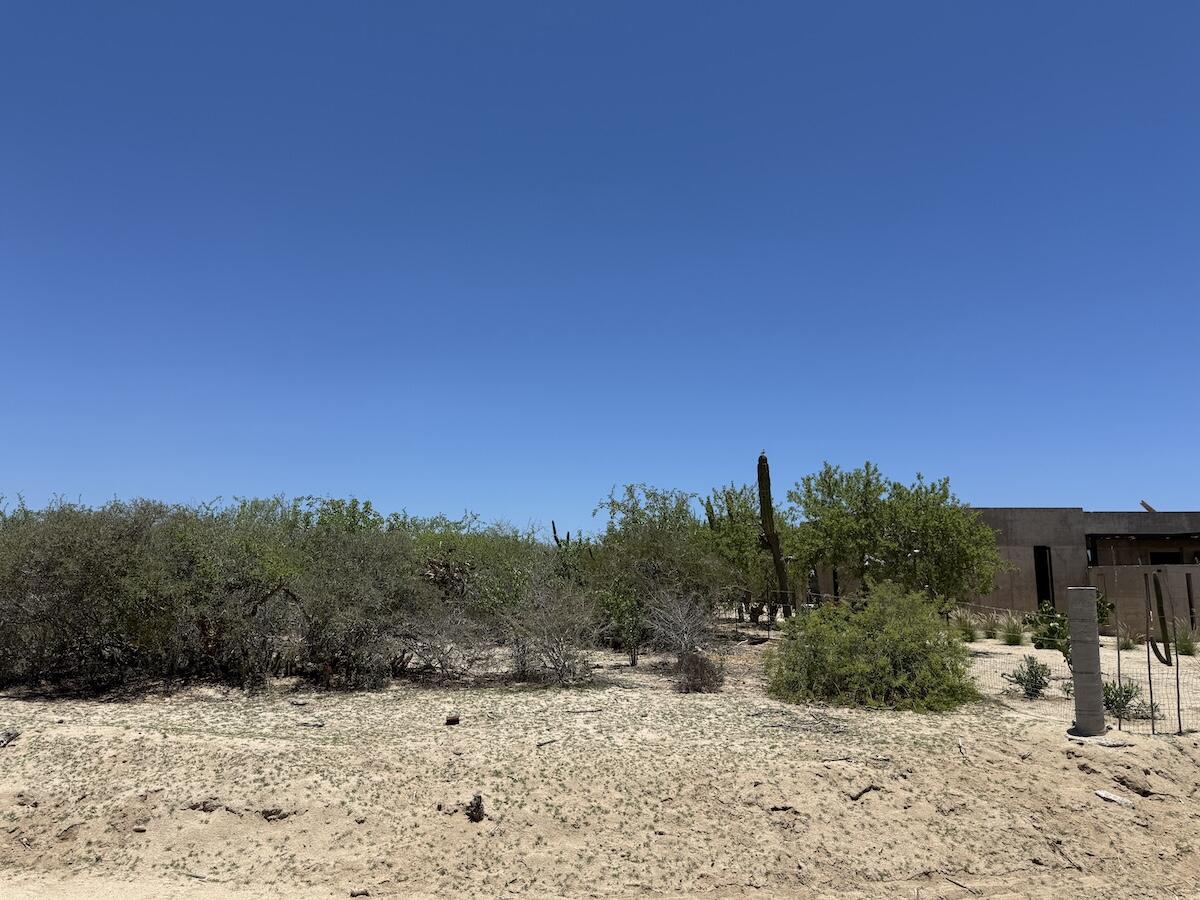 MLS #25-3903 image #0