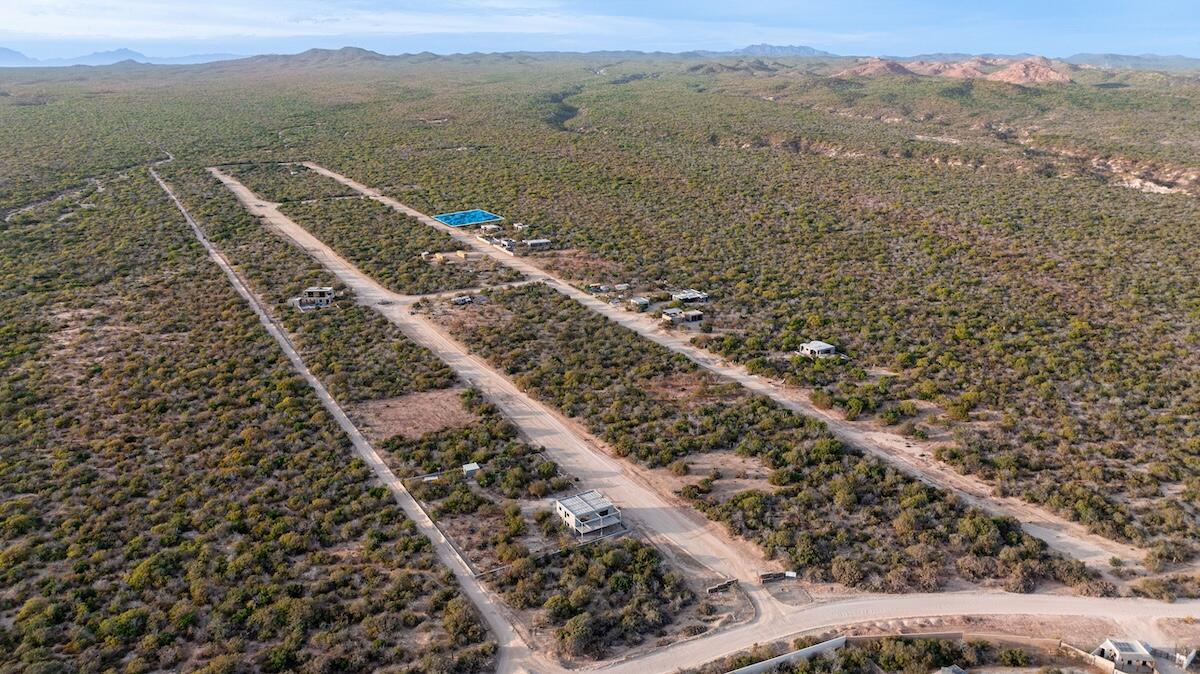 MLS #25-3903 image #3