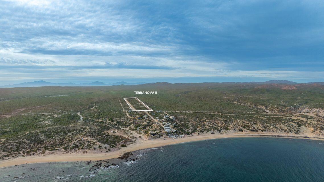 MLS #25-3903 image #5