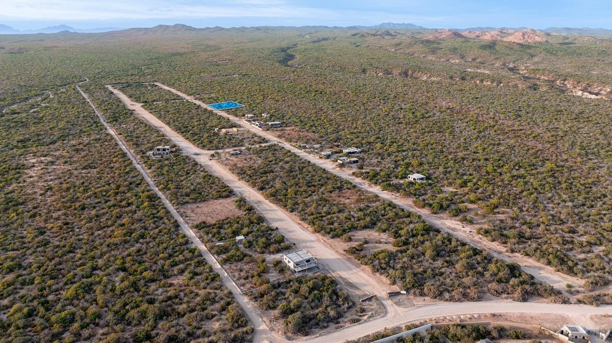 MLS #25-3904 image #3