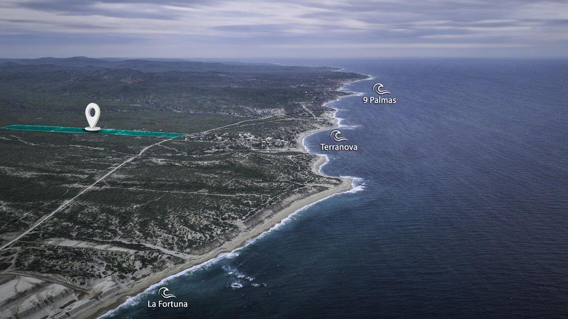 MLS #25-3904 image #5