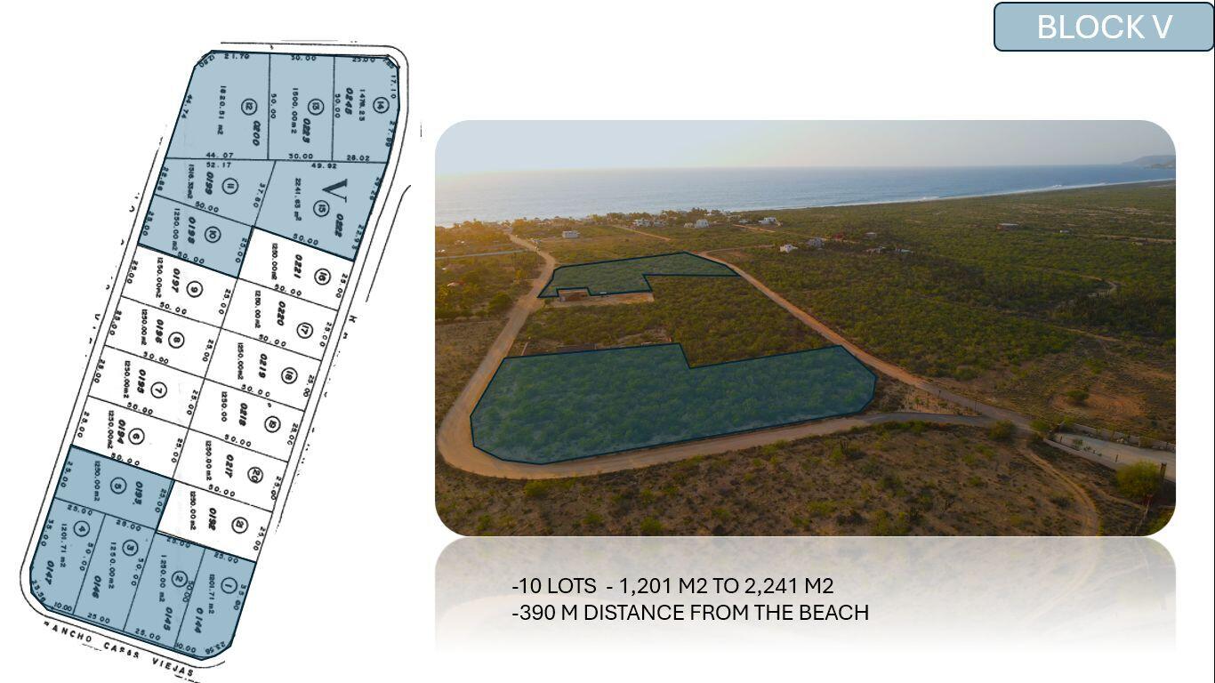 MLS #25-3907 image #3