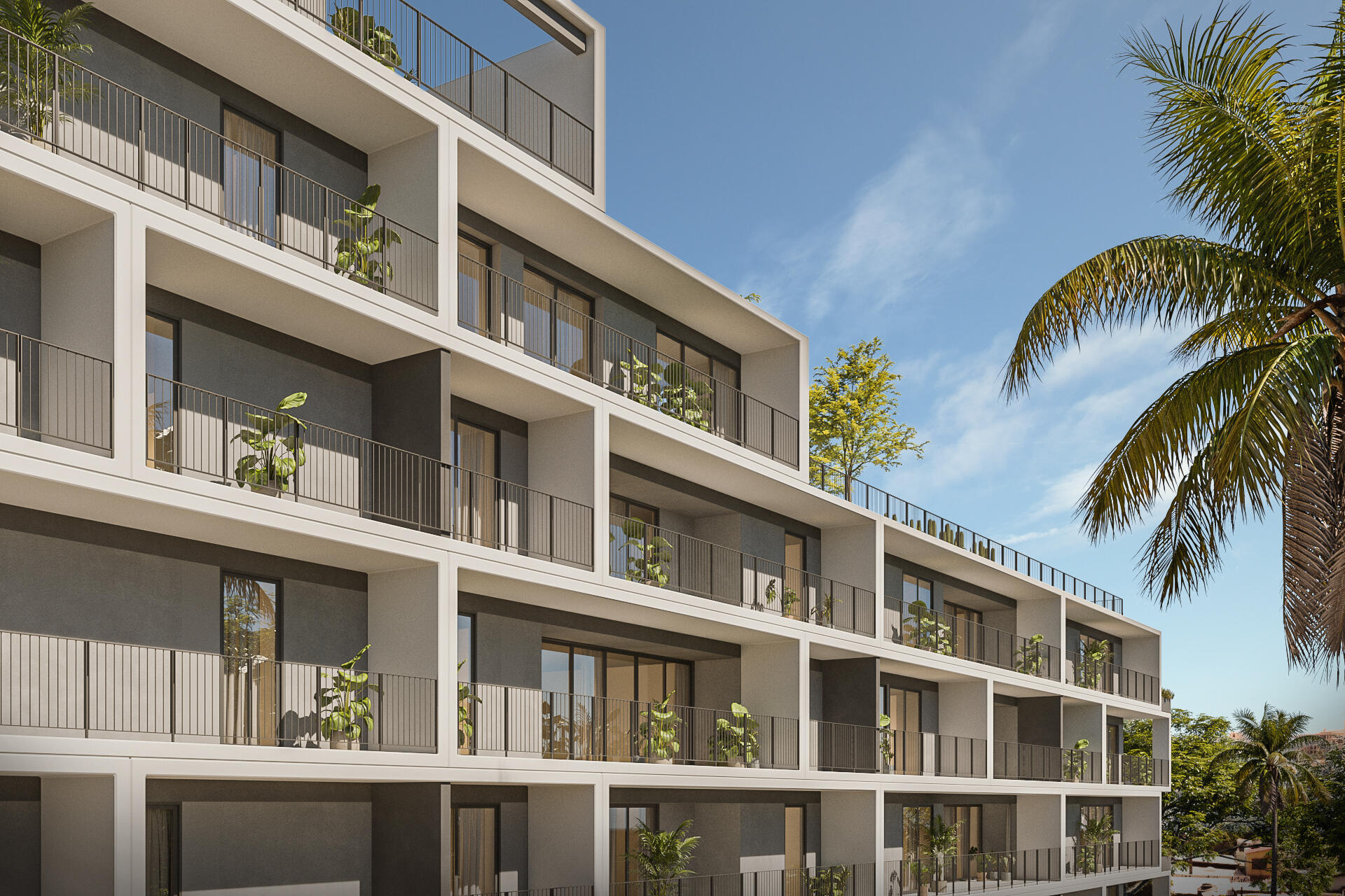 MLS #25-3918 image #12