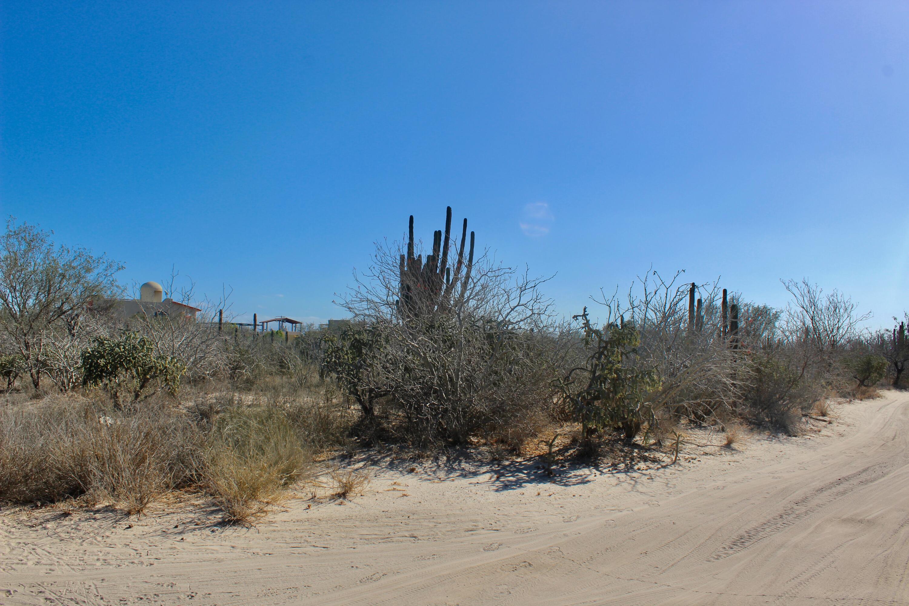 Calle 5 El Comitan L10-M11 La Paz BCS MLS #25-403 43 MLS #25-403 image #2