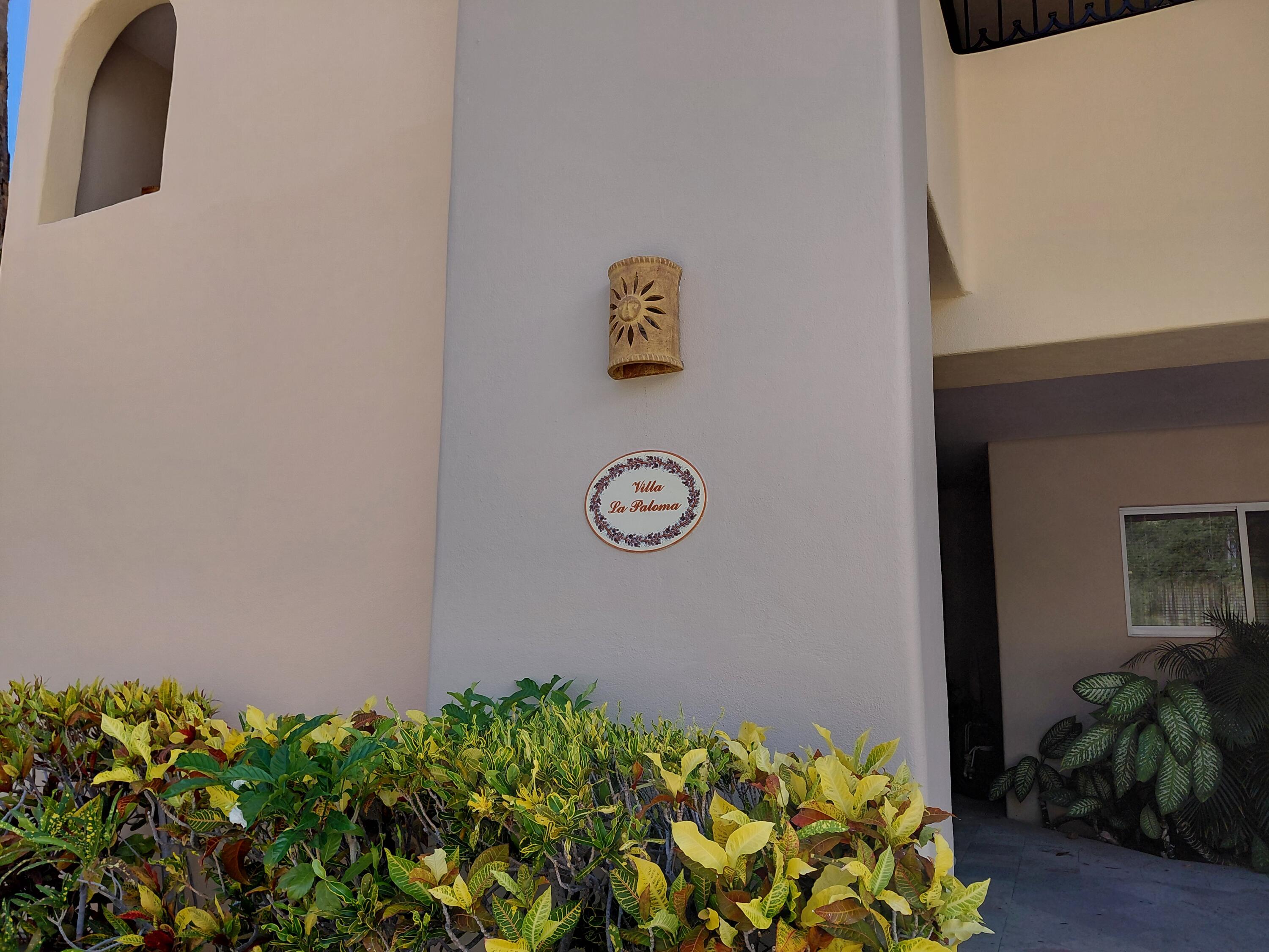 MLS #25-4057 image #4