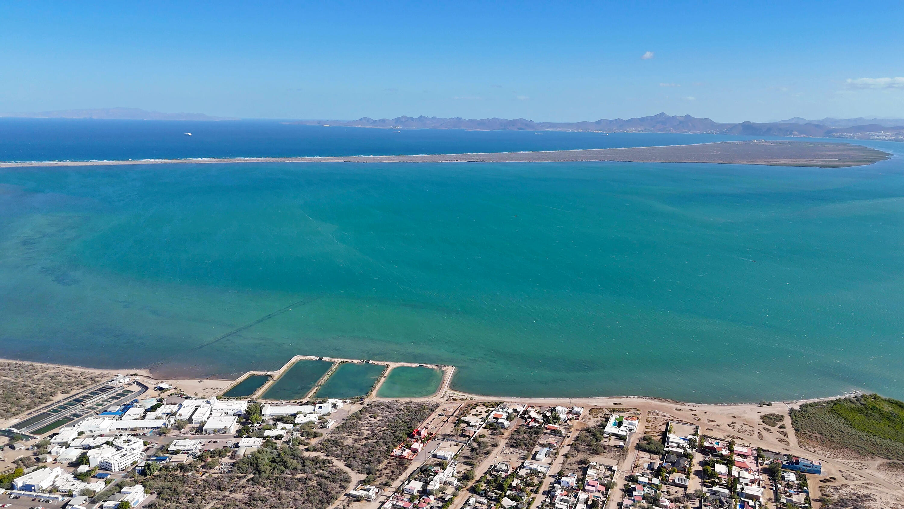 MLS #25-406 image #15