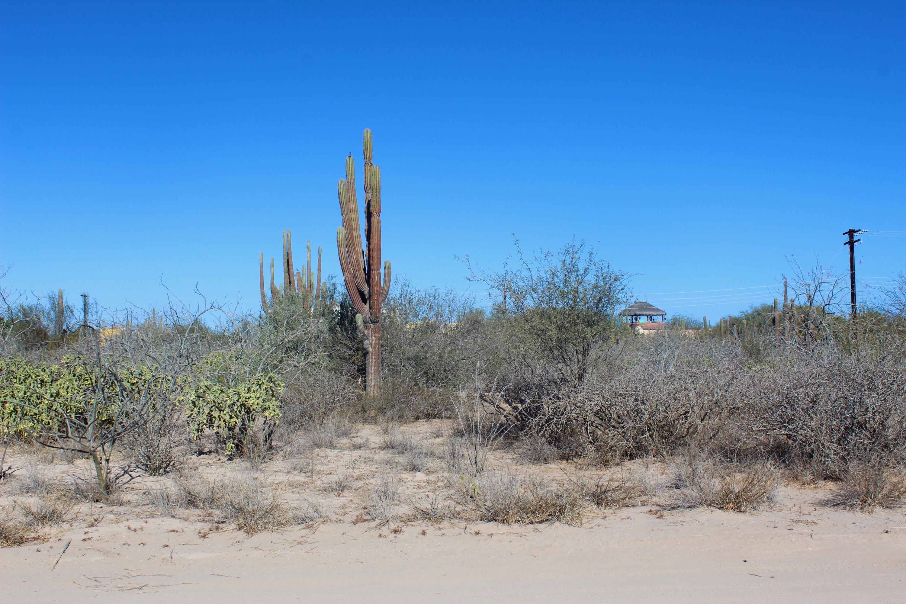 MLS #25-406 img 6