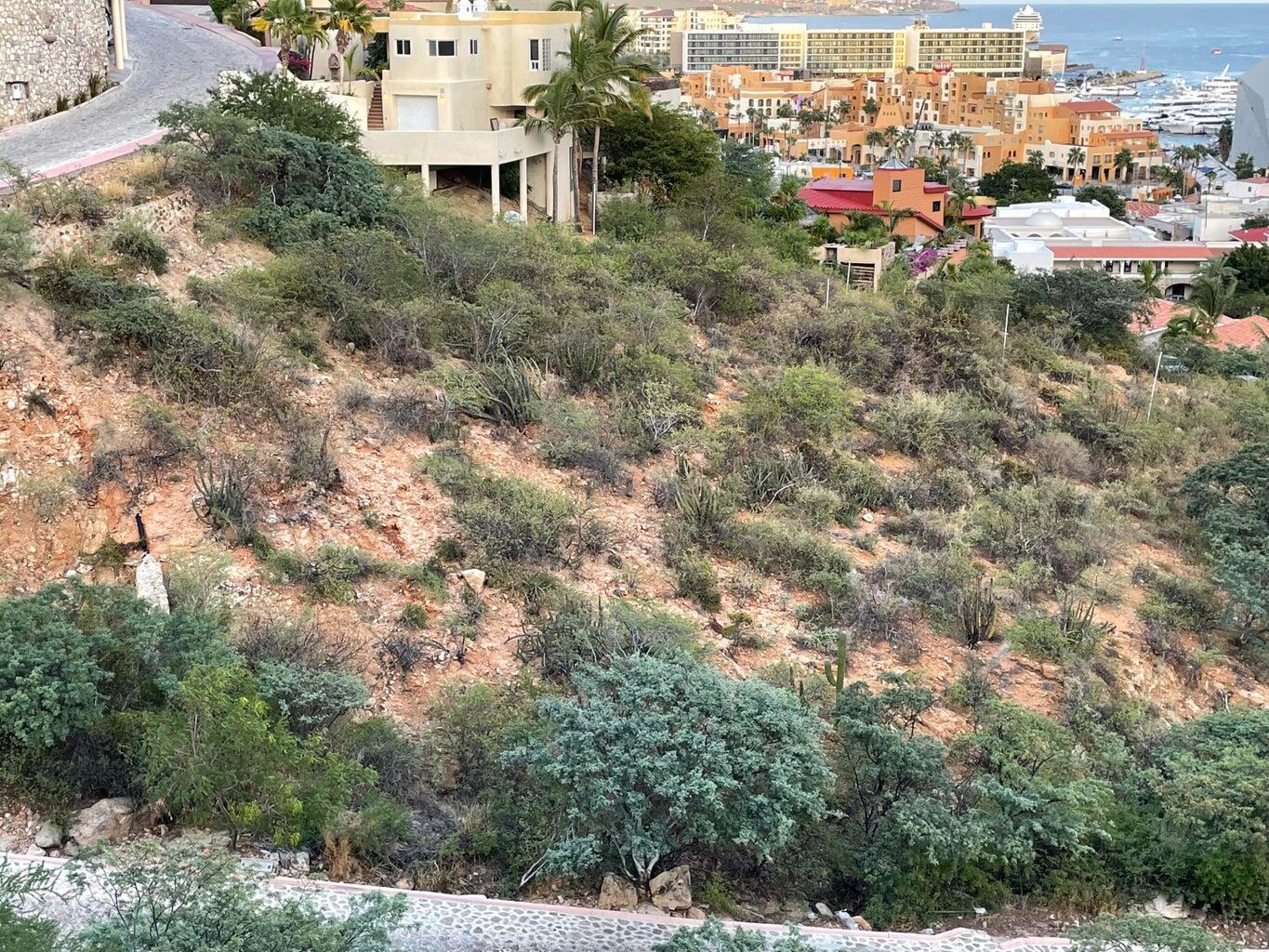 MLS #25-4065 image #2