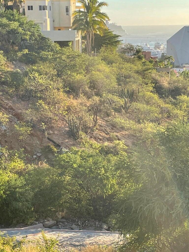 MLS #25-4065 image #3