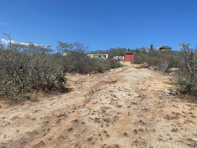 MLS #25-4152 image #0