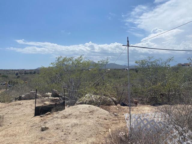 MLS #25-4152 image #4