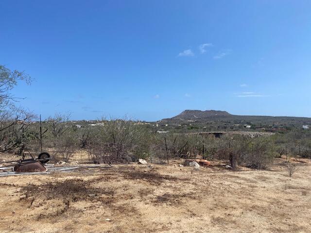 MLS #25-4152 image #5