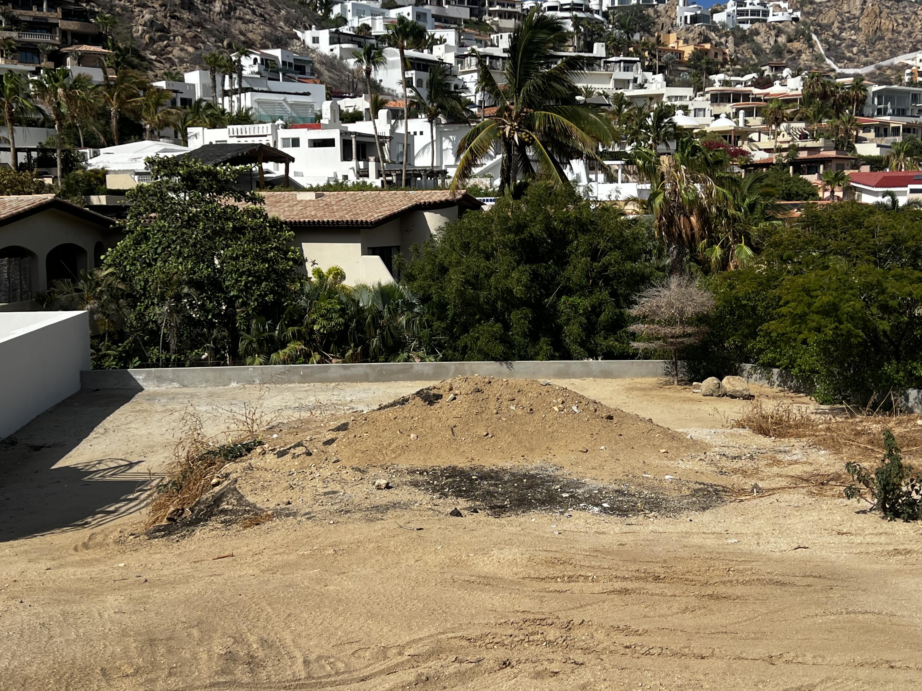 MLS #25-4155 image #1