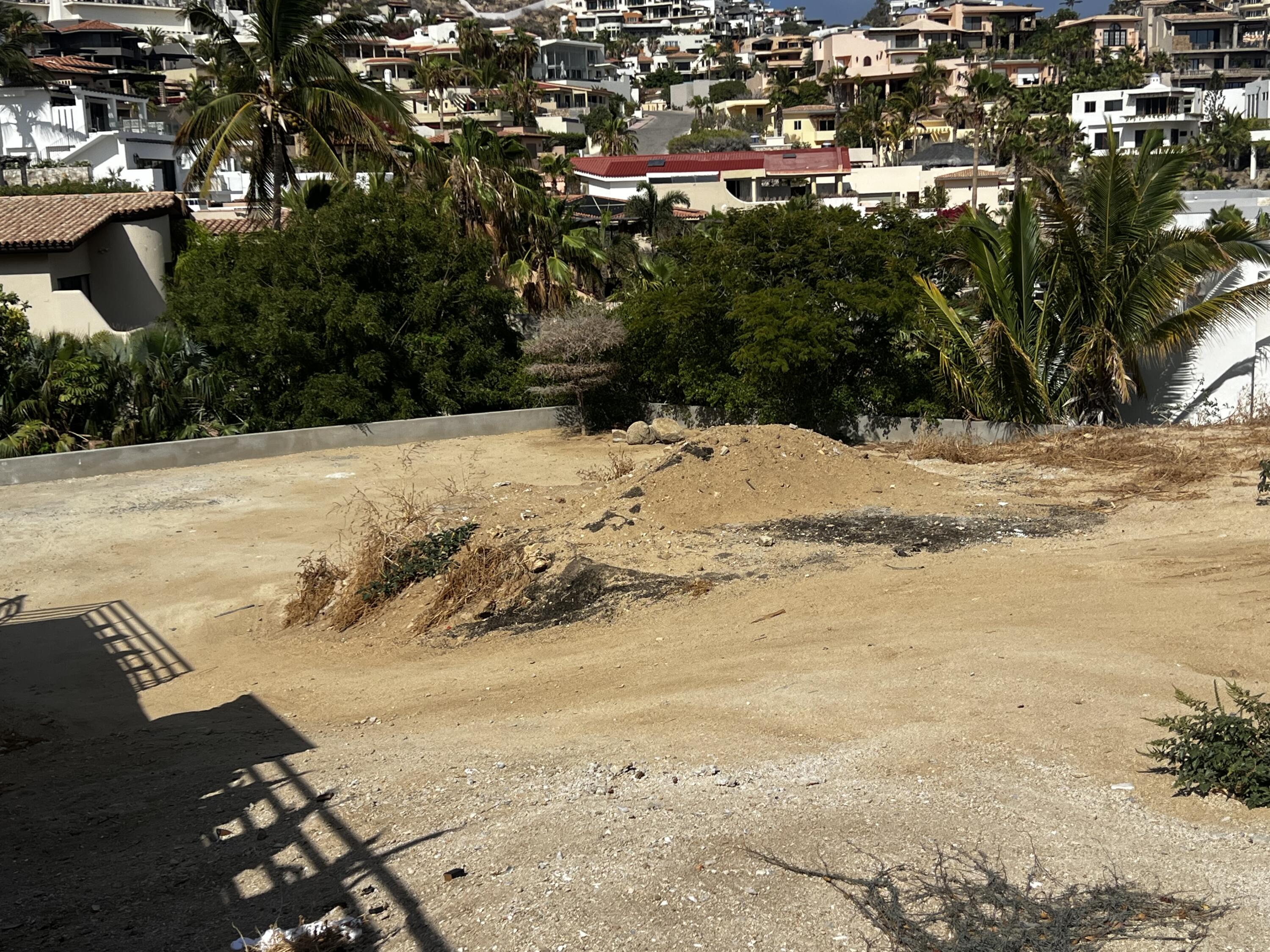 MLS #25-4155 image #2