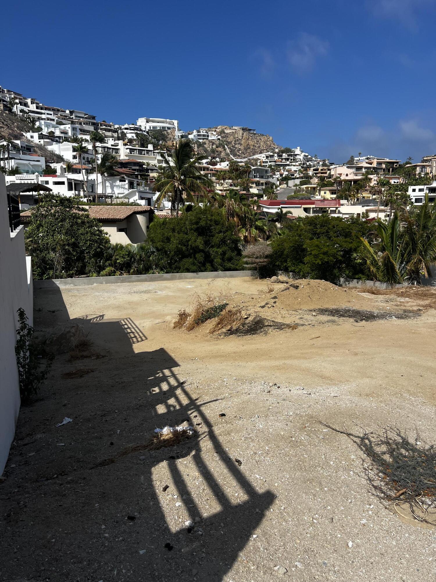 MLS #25-4155 image #5