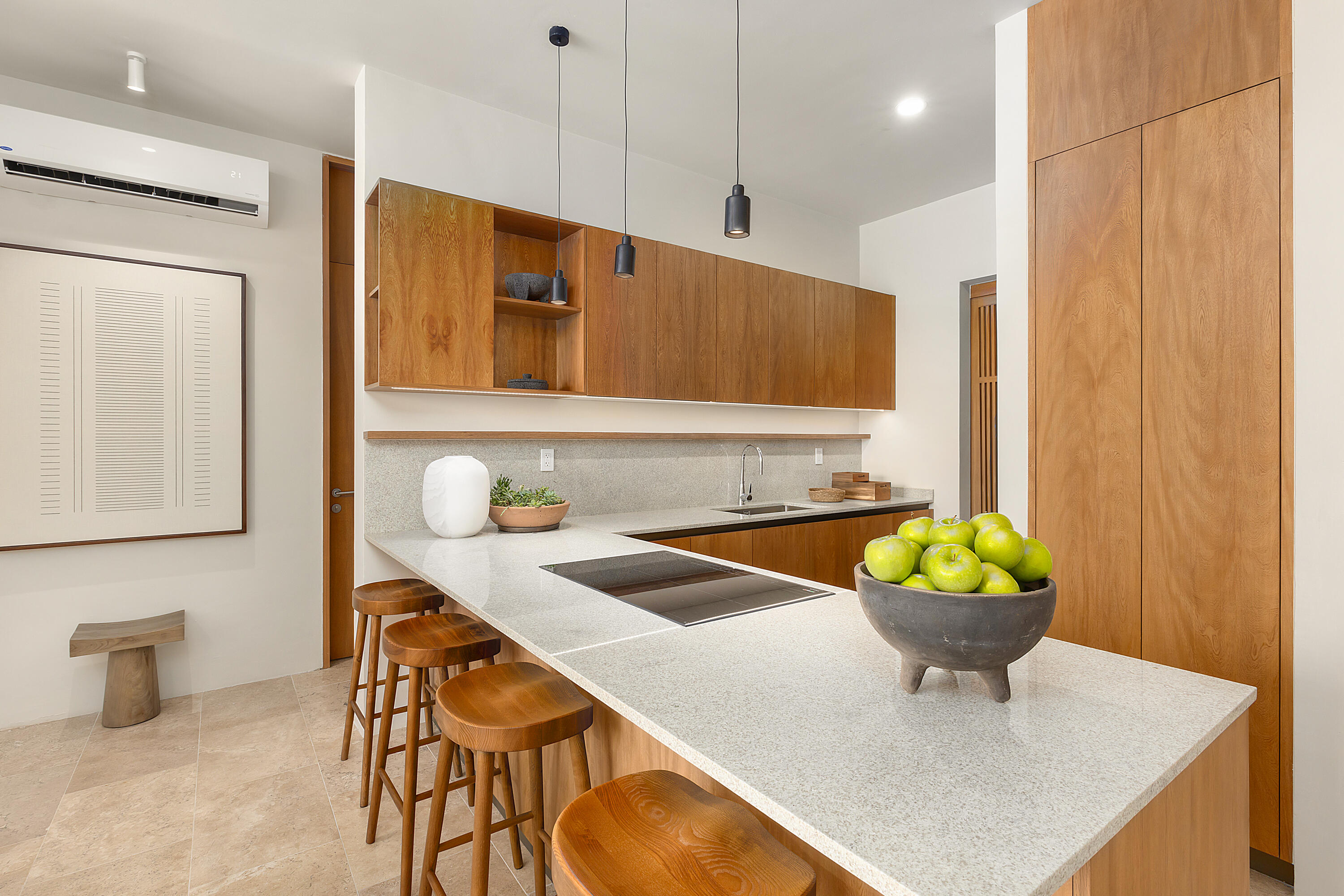 Revolucion de 1910 SANCTA RESIDENCES La Paz BCS MLS #25-3079 119 MLS #25-3079 image #2