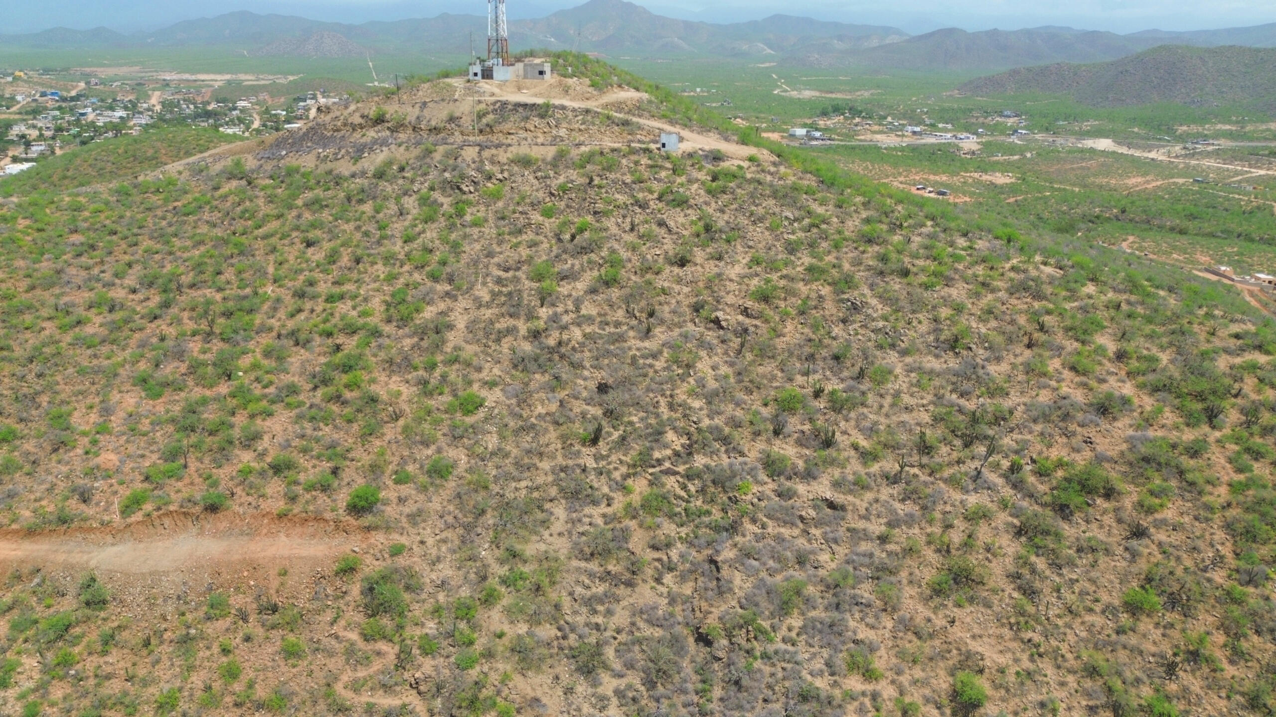 MLS #25-4177 image #11