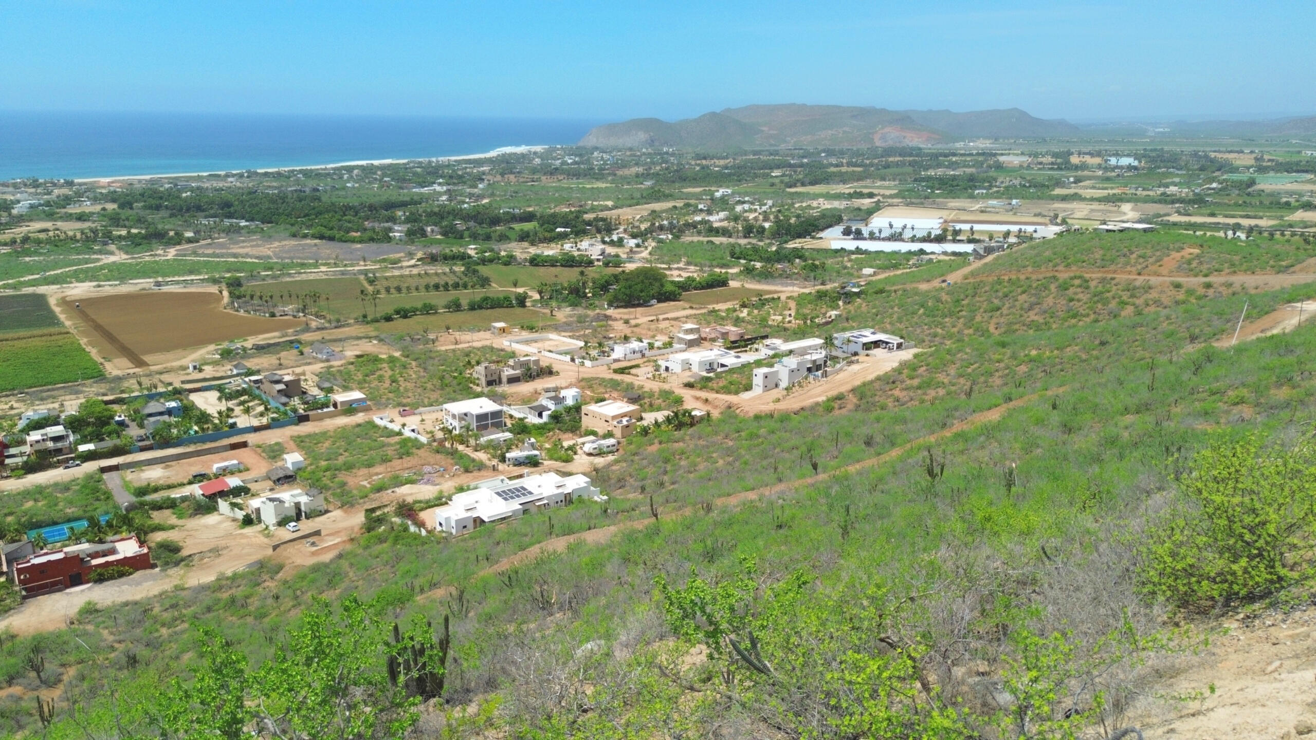 MLS #25-4177 image #12