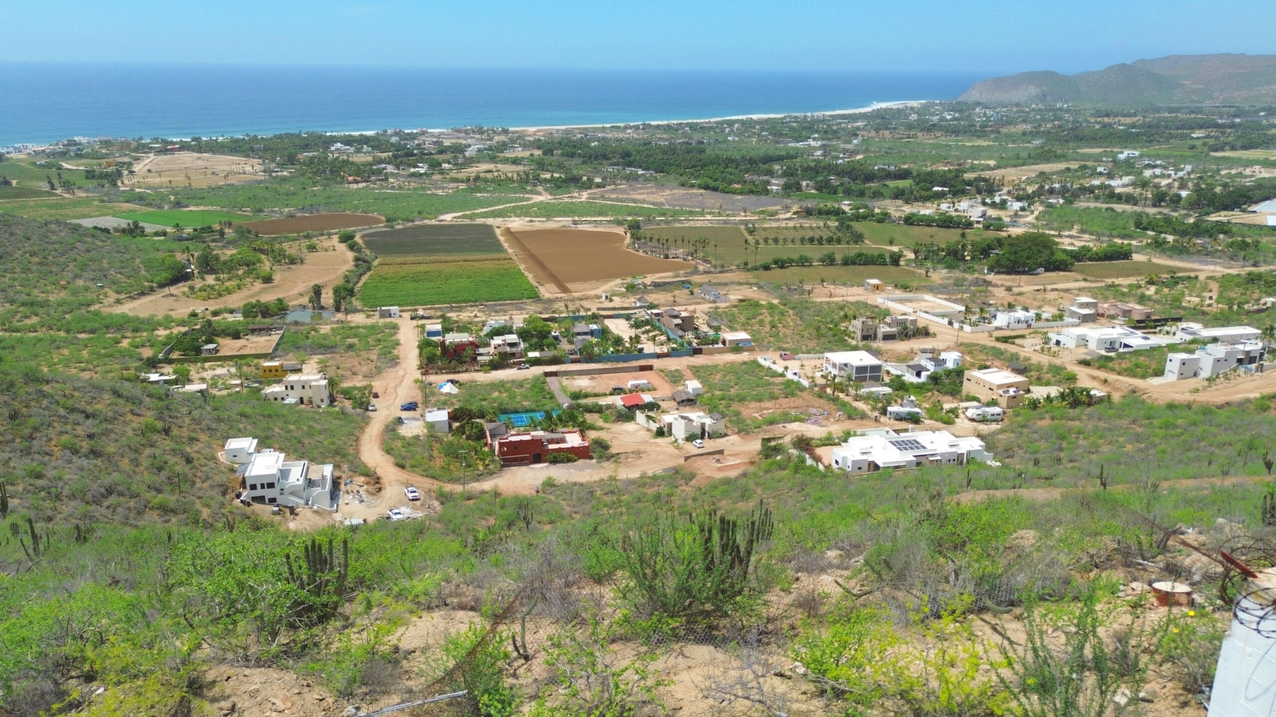 MLS #25-4177 image #13